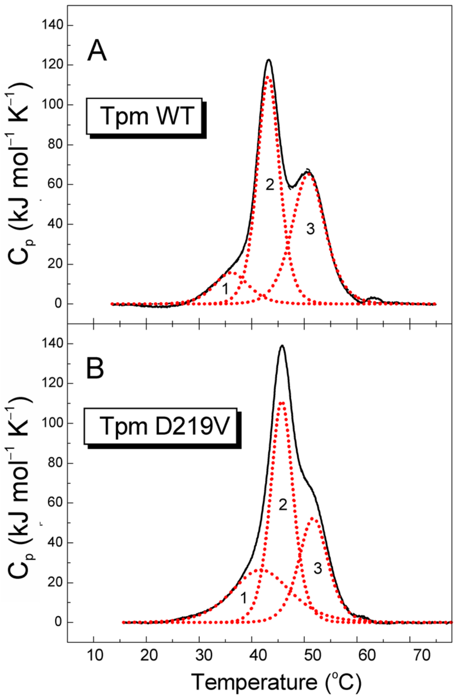 Ijms 24 00018 g002 Ijms 24 00018 g002