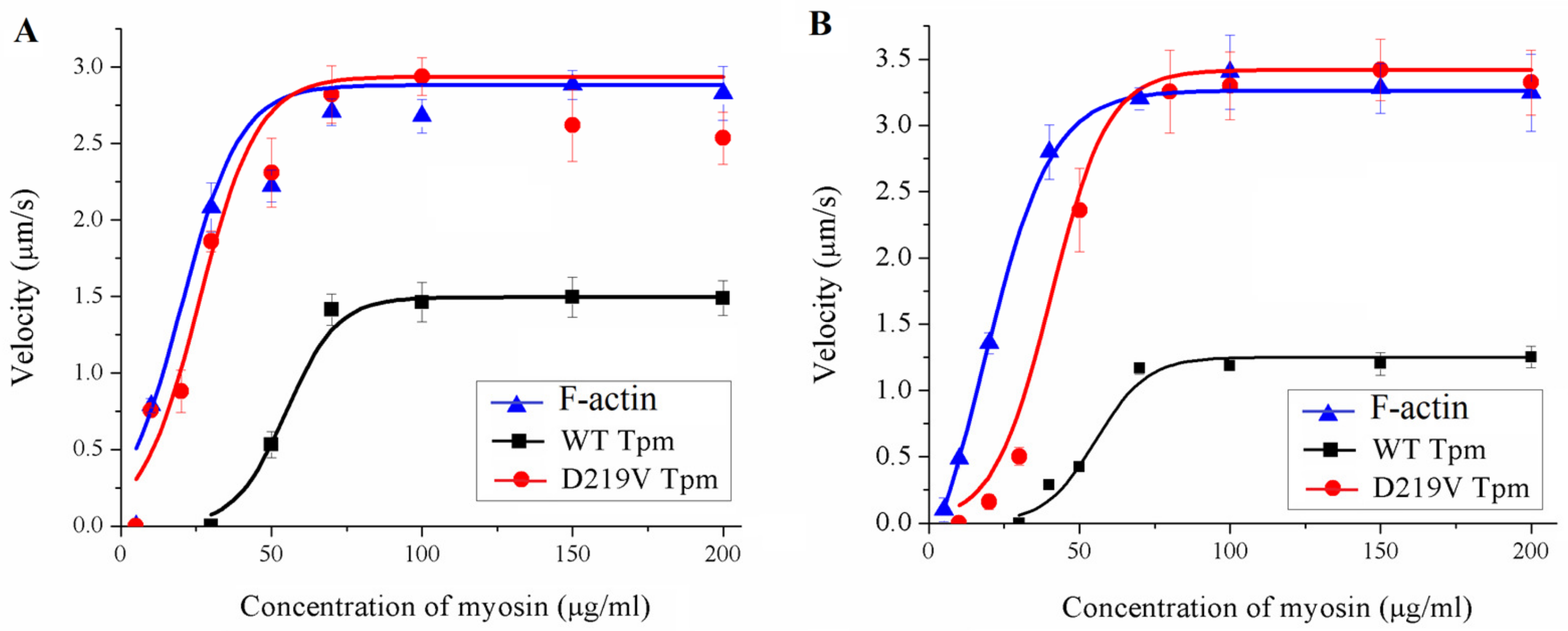 Ijms 24 00018 g004 Ijms 24 00018 g004