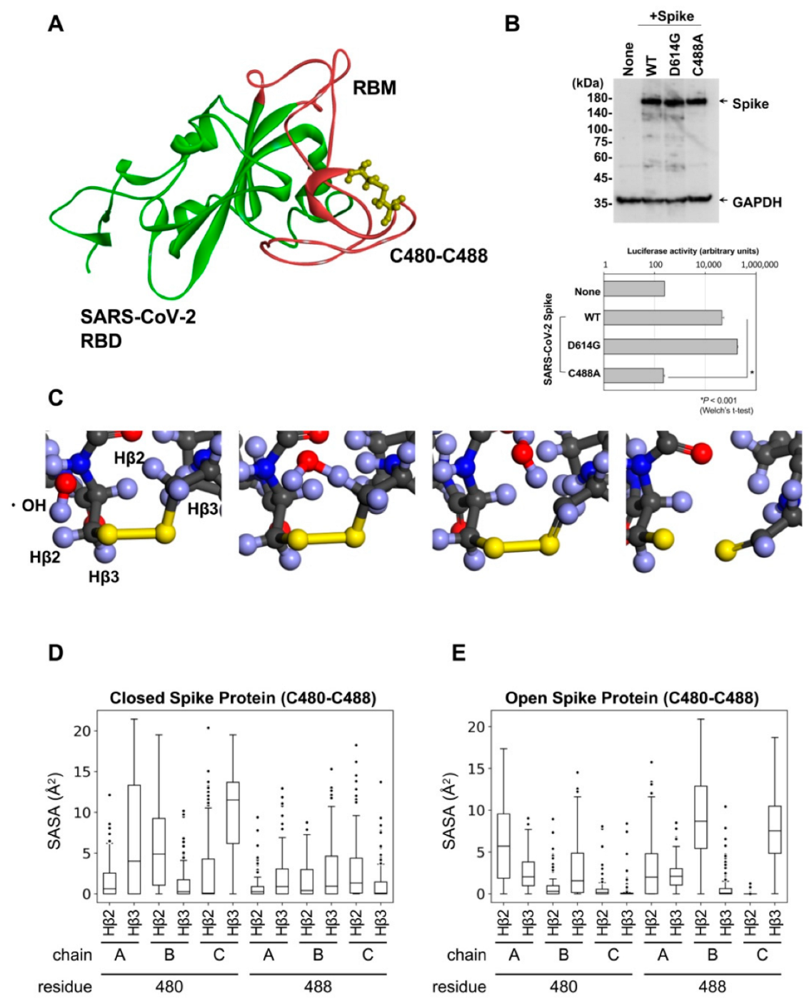 Ijms 24 00020 g002 Ijms 24 00020 g002