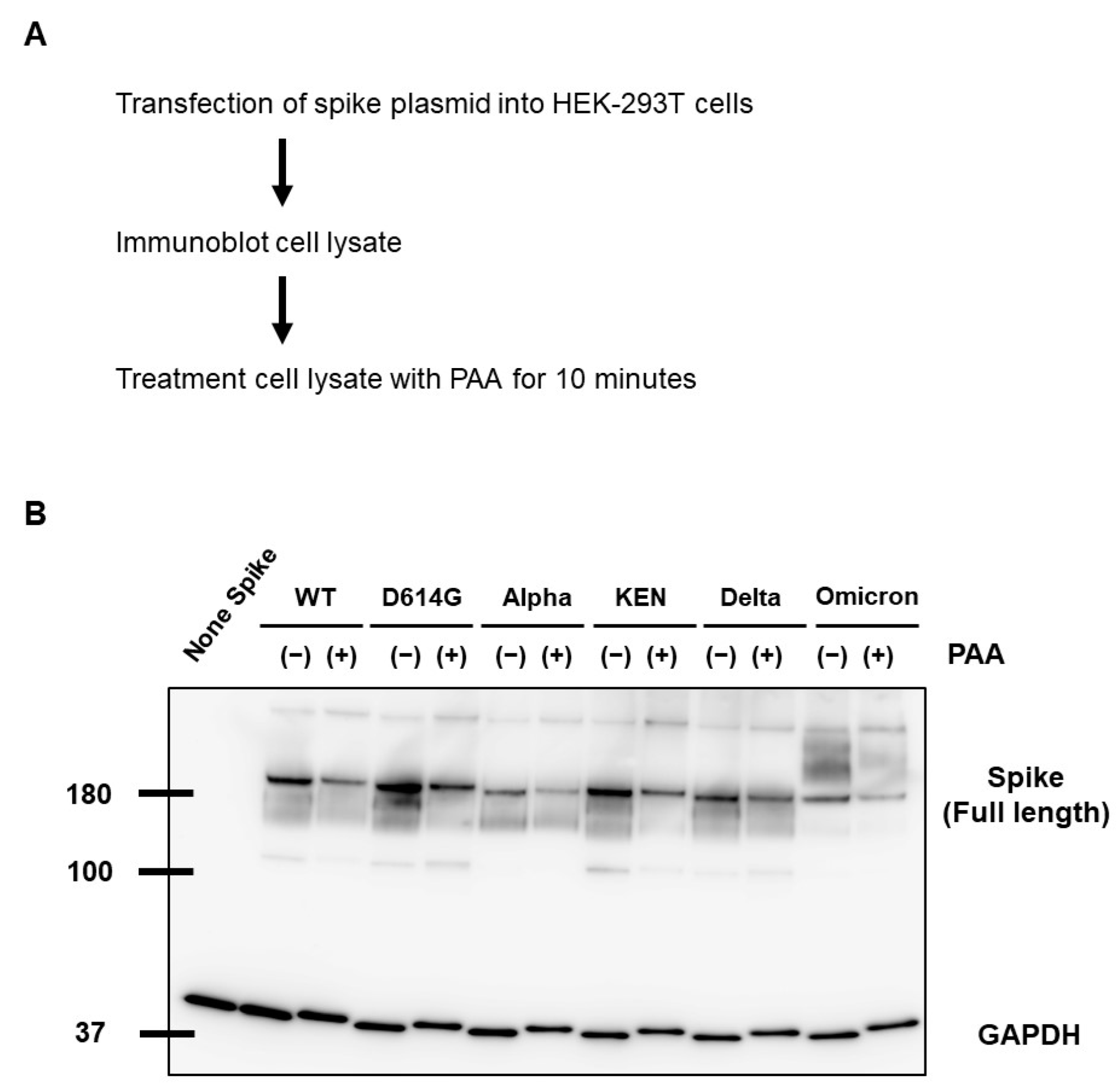 Ijms 24 00020 g003 Ijms 24 00020 g003