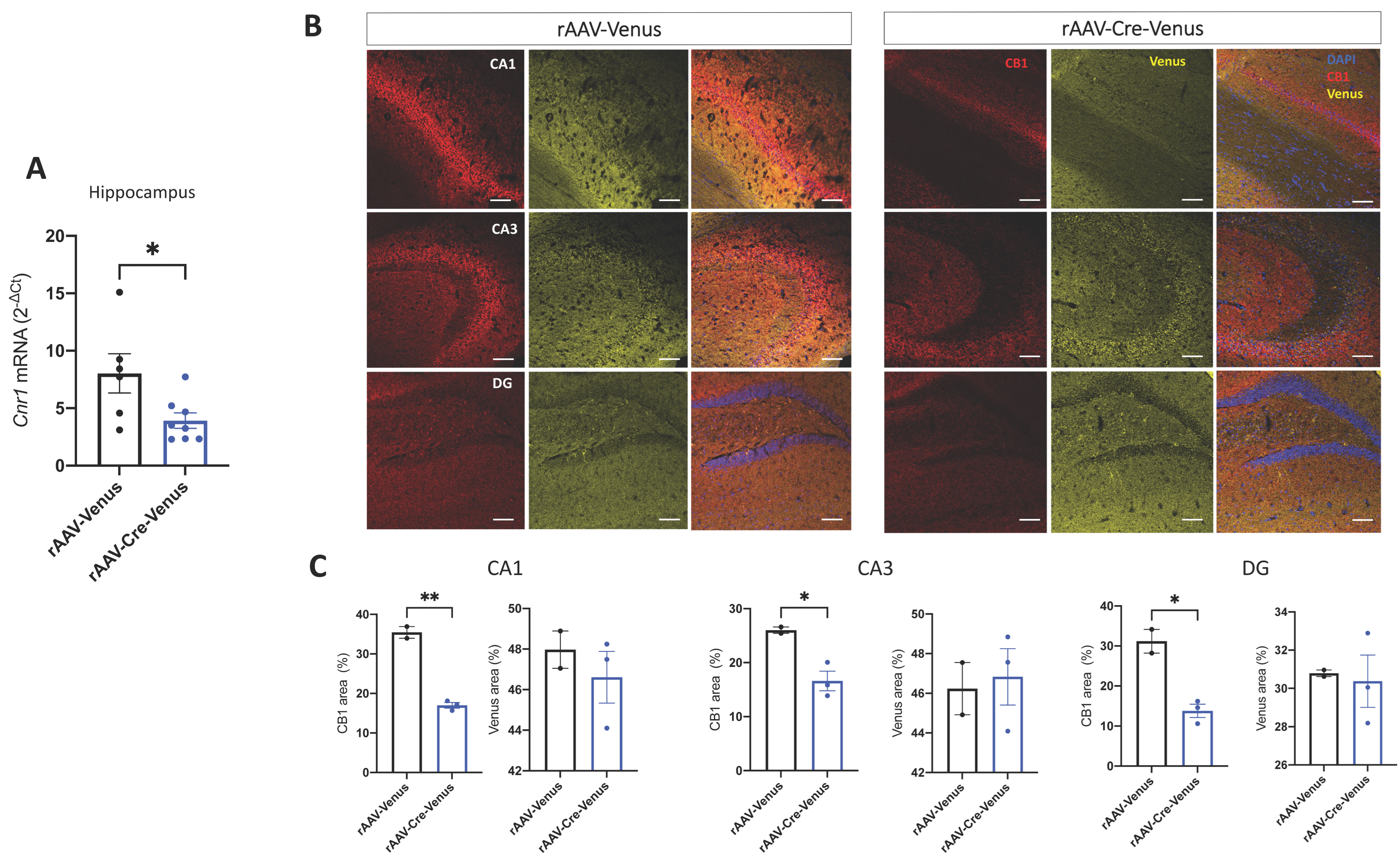 Ijms 24 00026 g001 Ijms 24 00026 g001