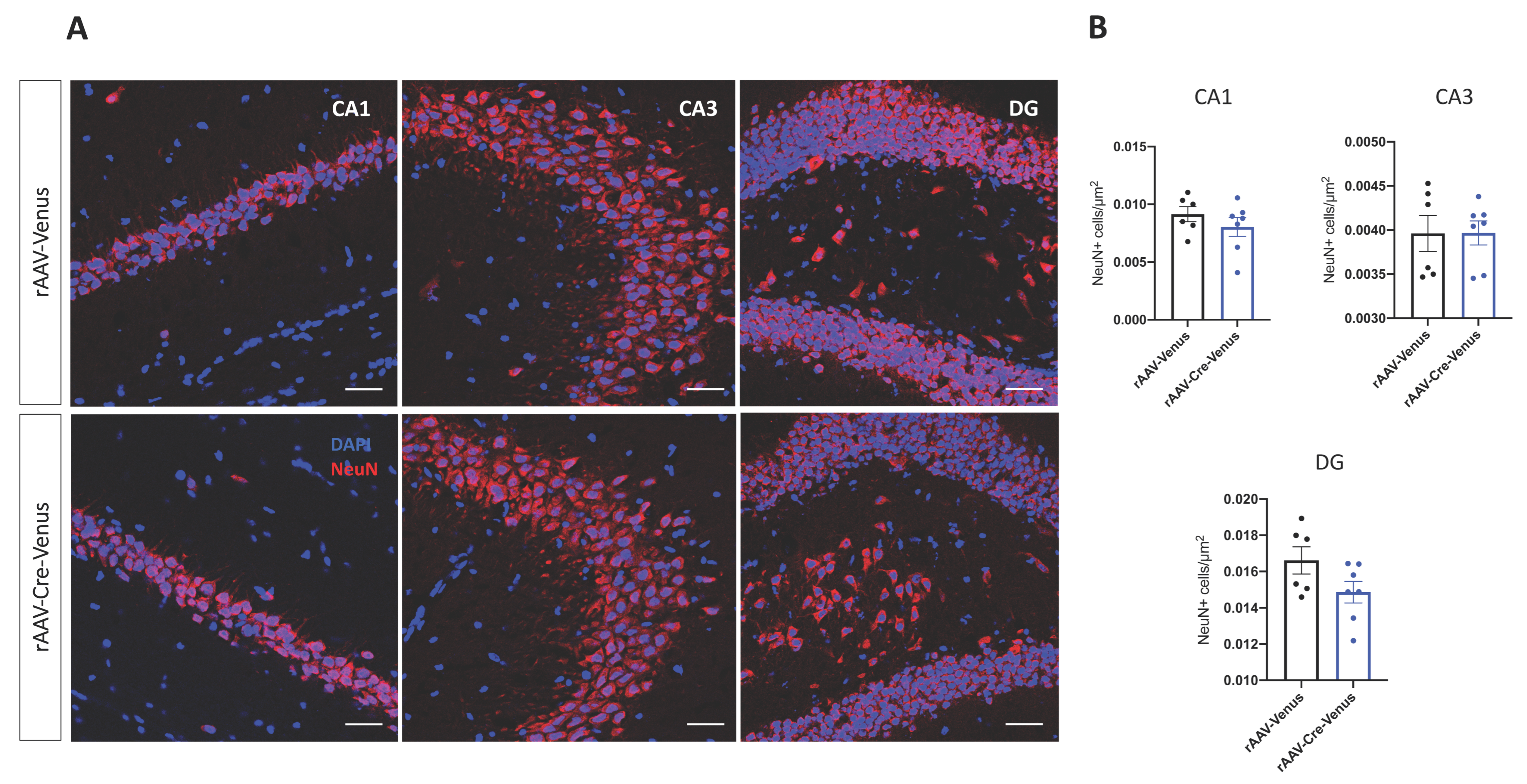 Ijms 24 00026 g005 Ijms 24 00026 g005