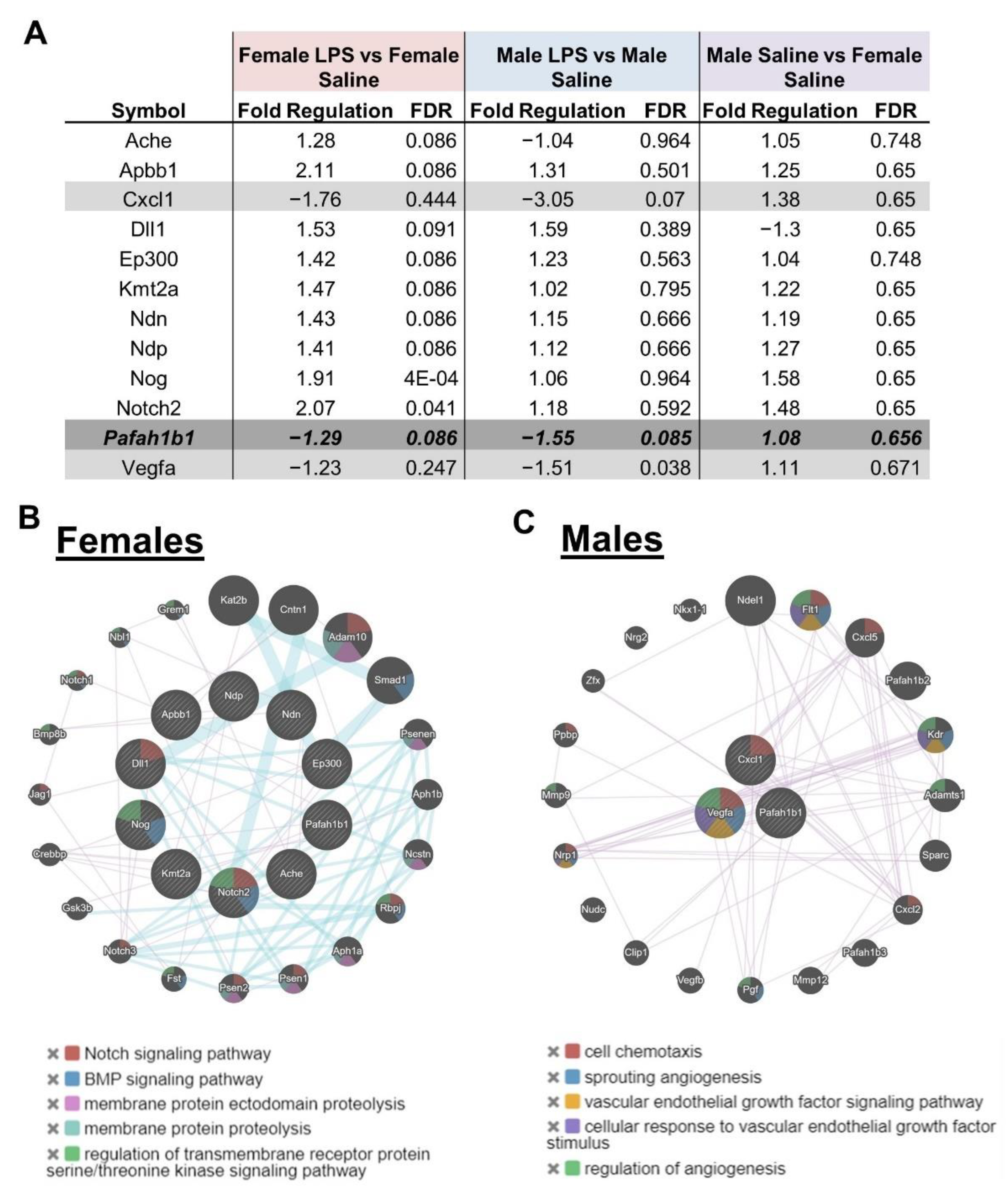 Ijms 24 00032 g006 Ijms 24 00032 g006