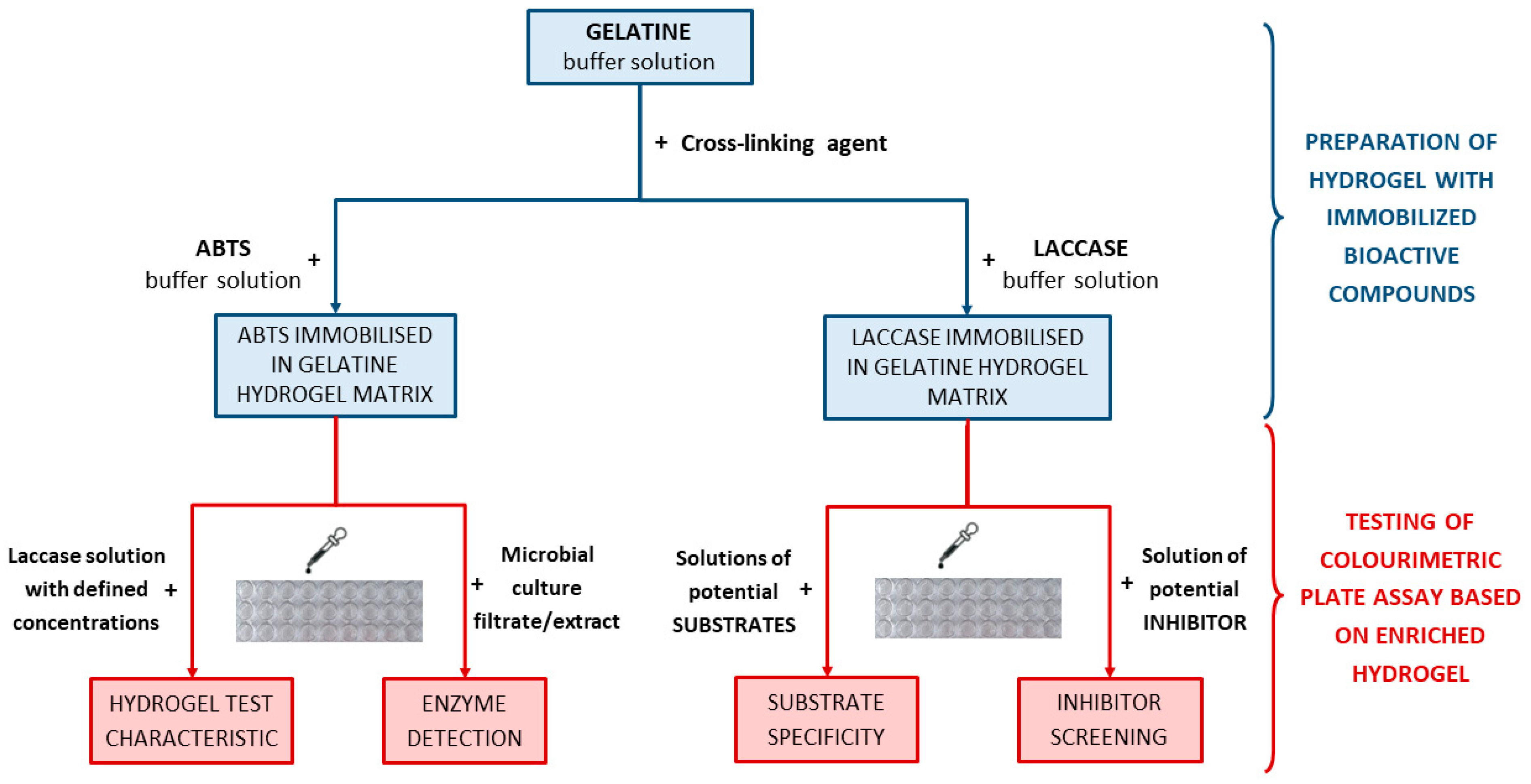 Ijms 24 00033 g001 Ijms 24 00033 g001