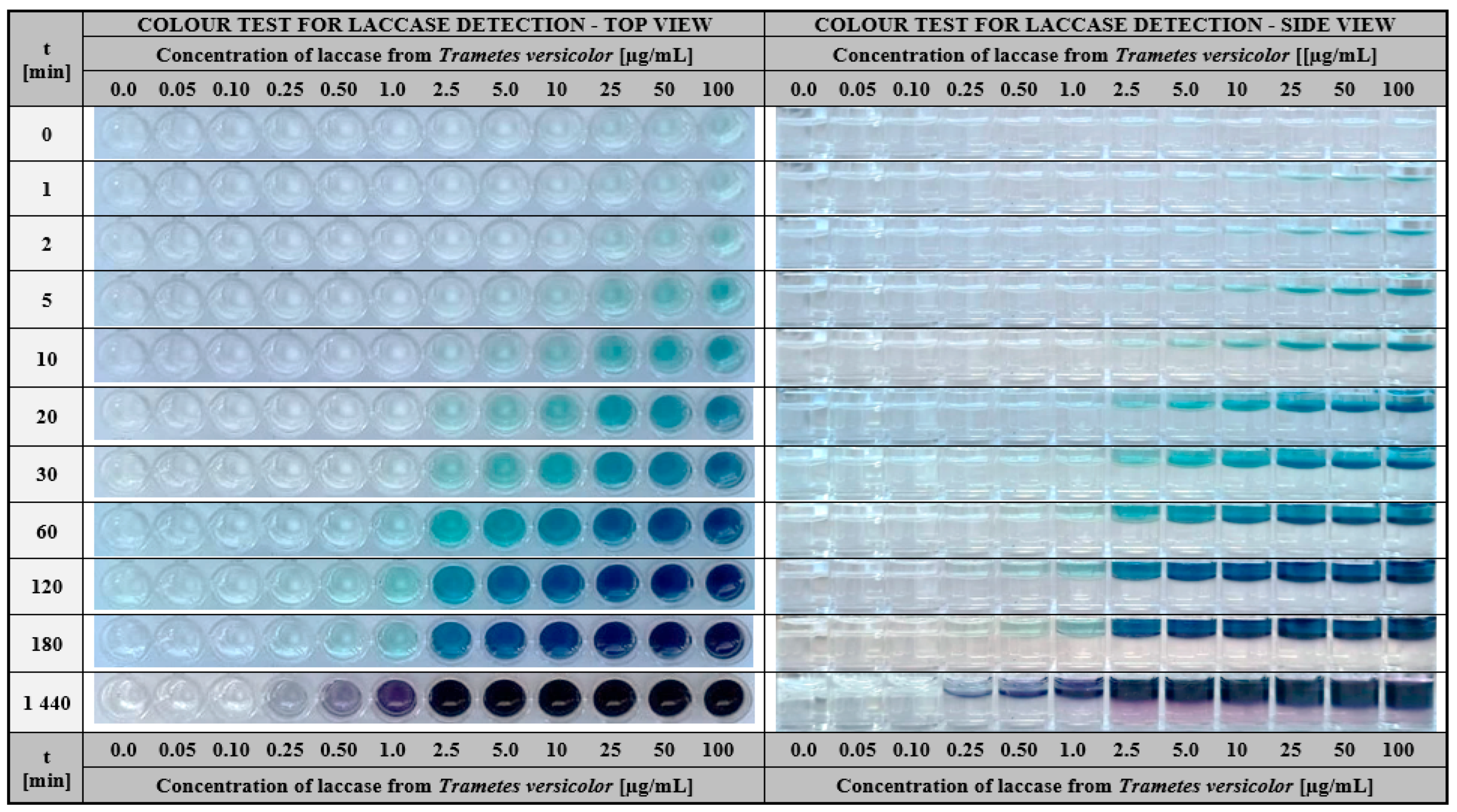 Ijms 24 00033 g003 Ijms 24 00033 g003