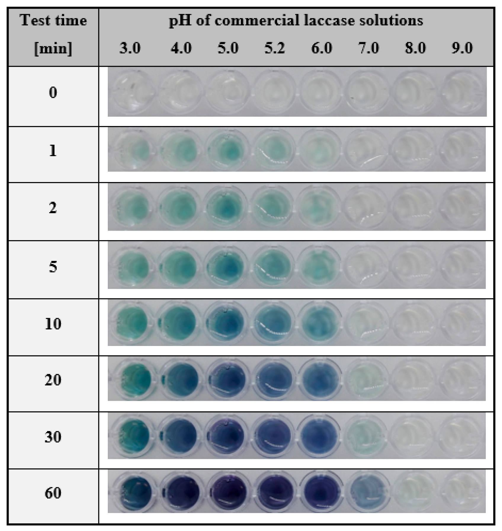 Ijms 24 00033 g004 Ijms 24 00033 g004
