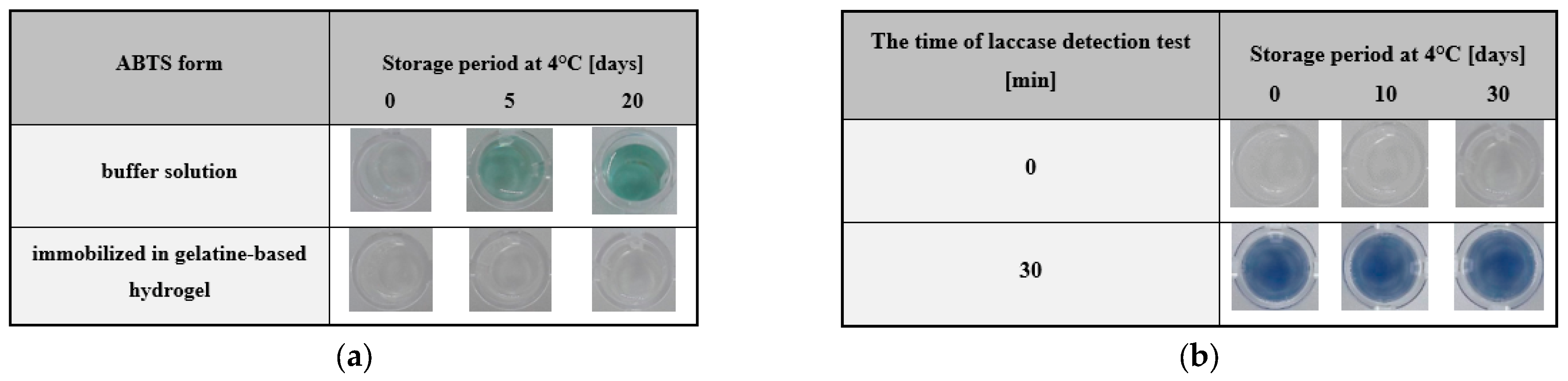 Ijms 24 00033 g006 Ijms 24 00033 g006