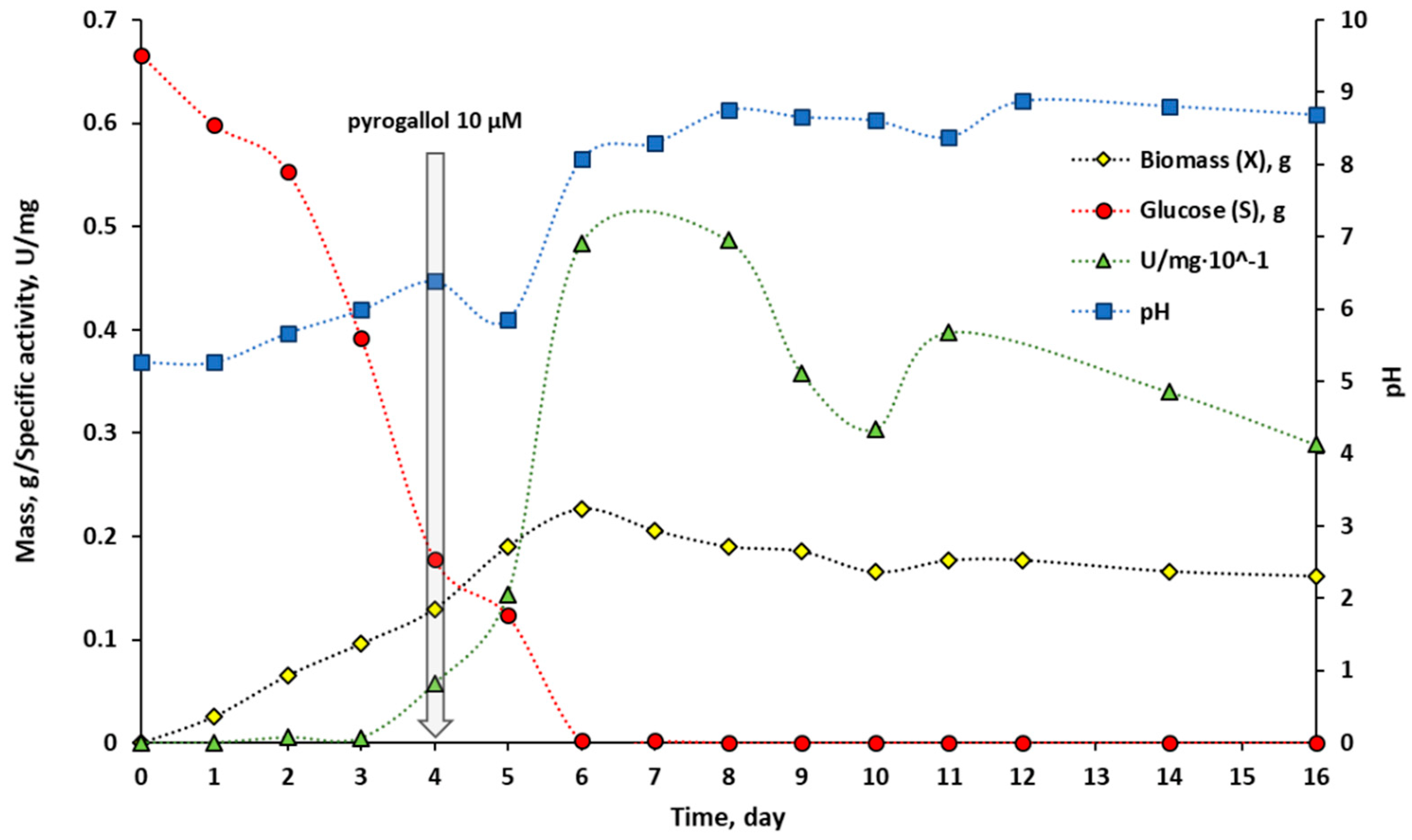 Ijms 24 00033 g008 Ijms 24 00033 g008