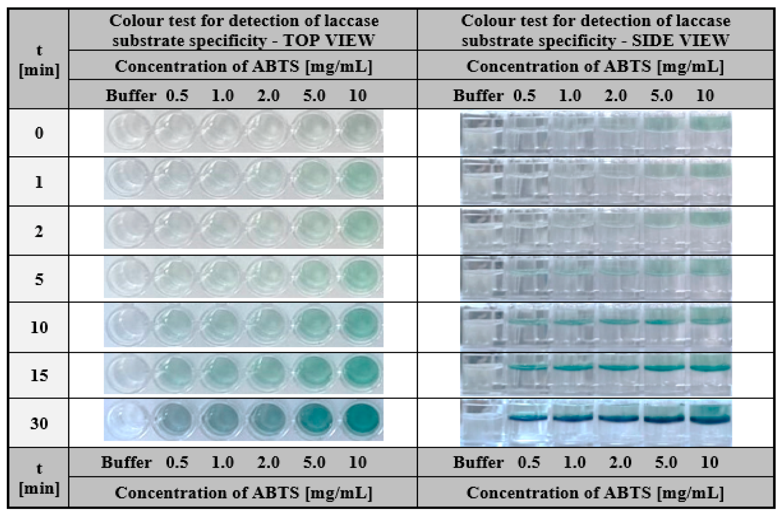 Ijms 24 00033 g010 Ijms 24 00033 g010