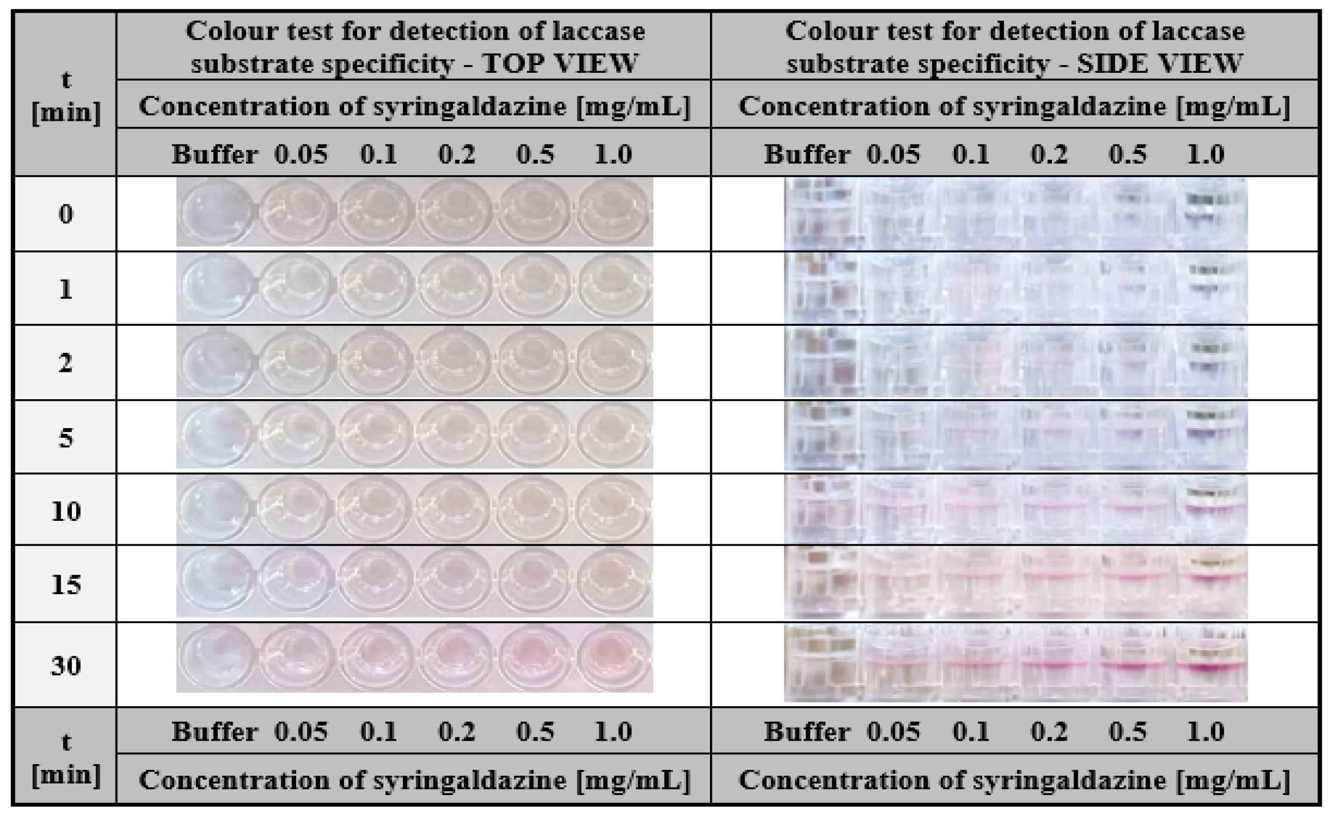 Ijms 24 00033 g012 Ijms 24 00033 g012