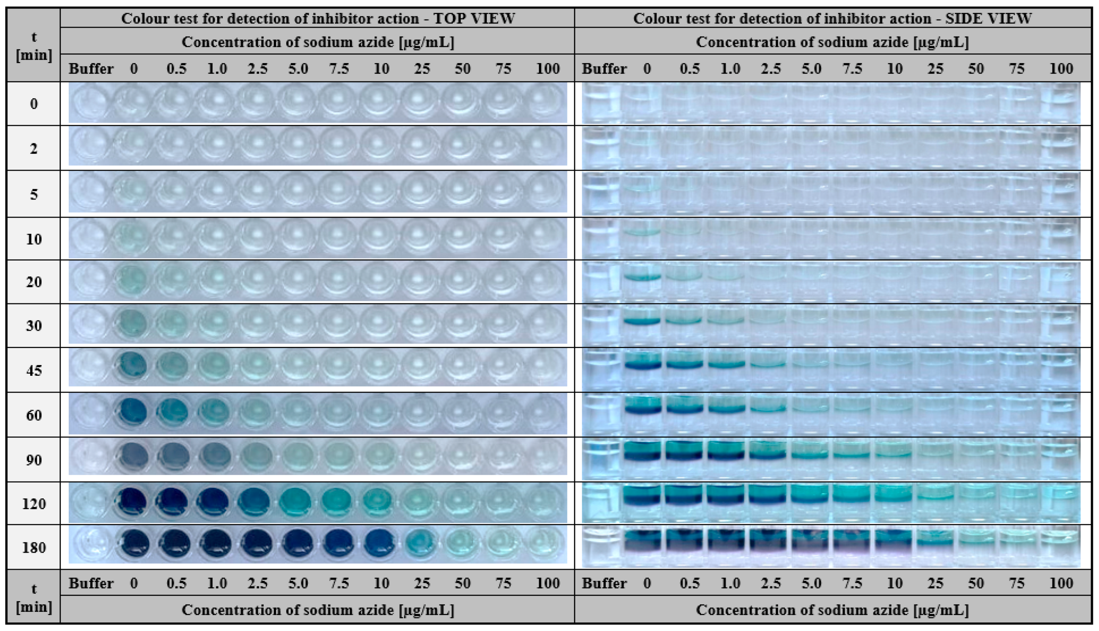 Ijms 24 00033 g013 Ijms 24 00033 g013