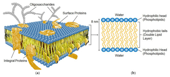 Manning condensation in ion exchange membranes: A review on ion  partitioning and diffusion models - Kitto - 2022 - Journal of Polymer  Science - Wiley Online Library