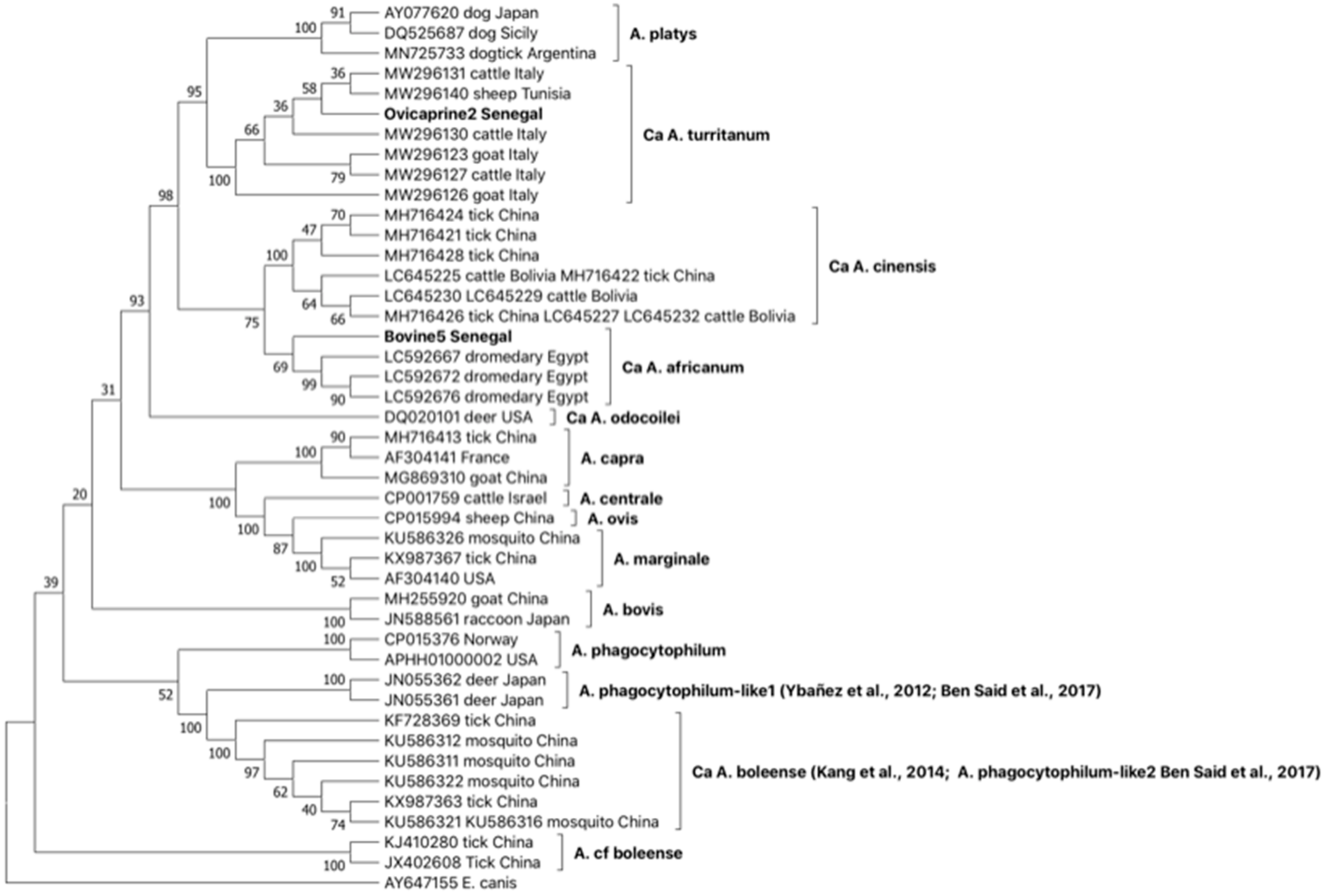 Ijms 24 00035 g002 Ijms 24 00035 g002