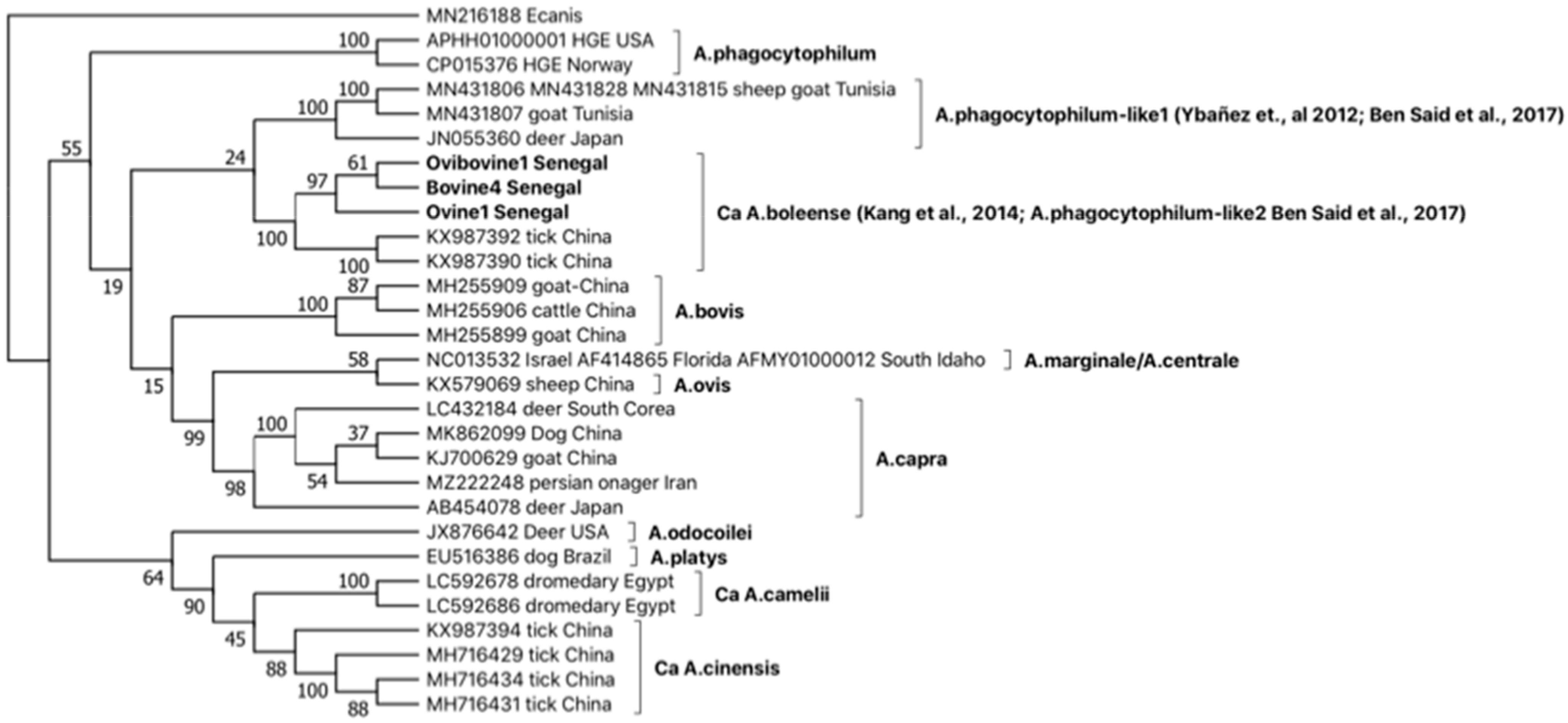 Ijms 24 00035 g003 Ijms 24 00035 g003