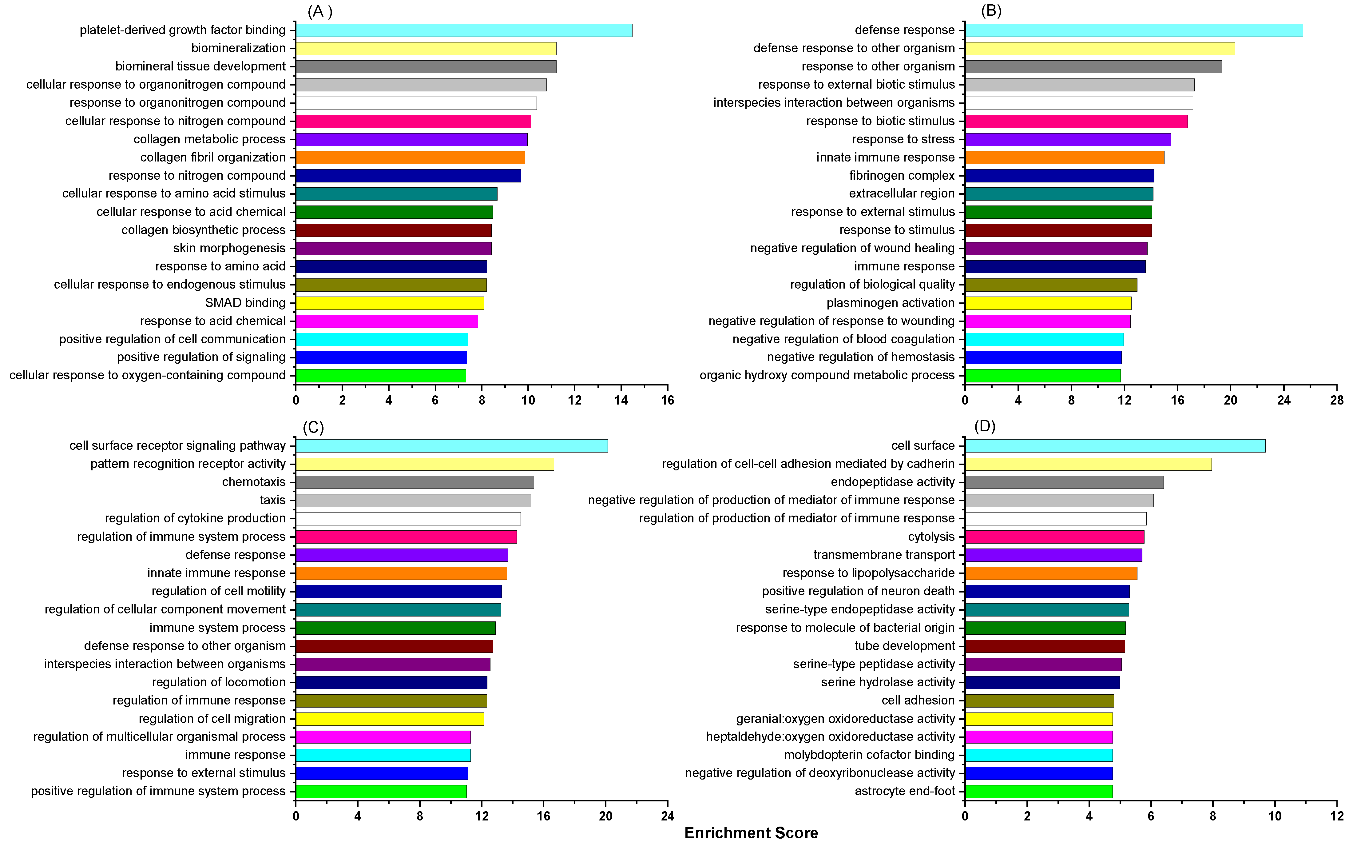 Ijms 24 00039 g004 Ijms 24 00039 g004