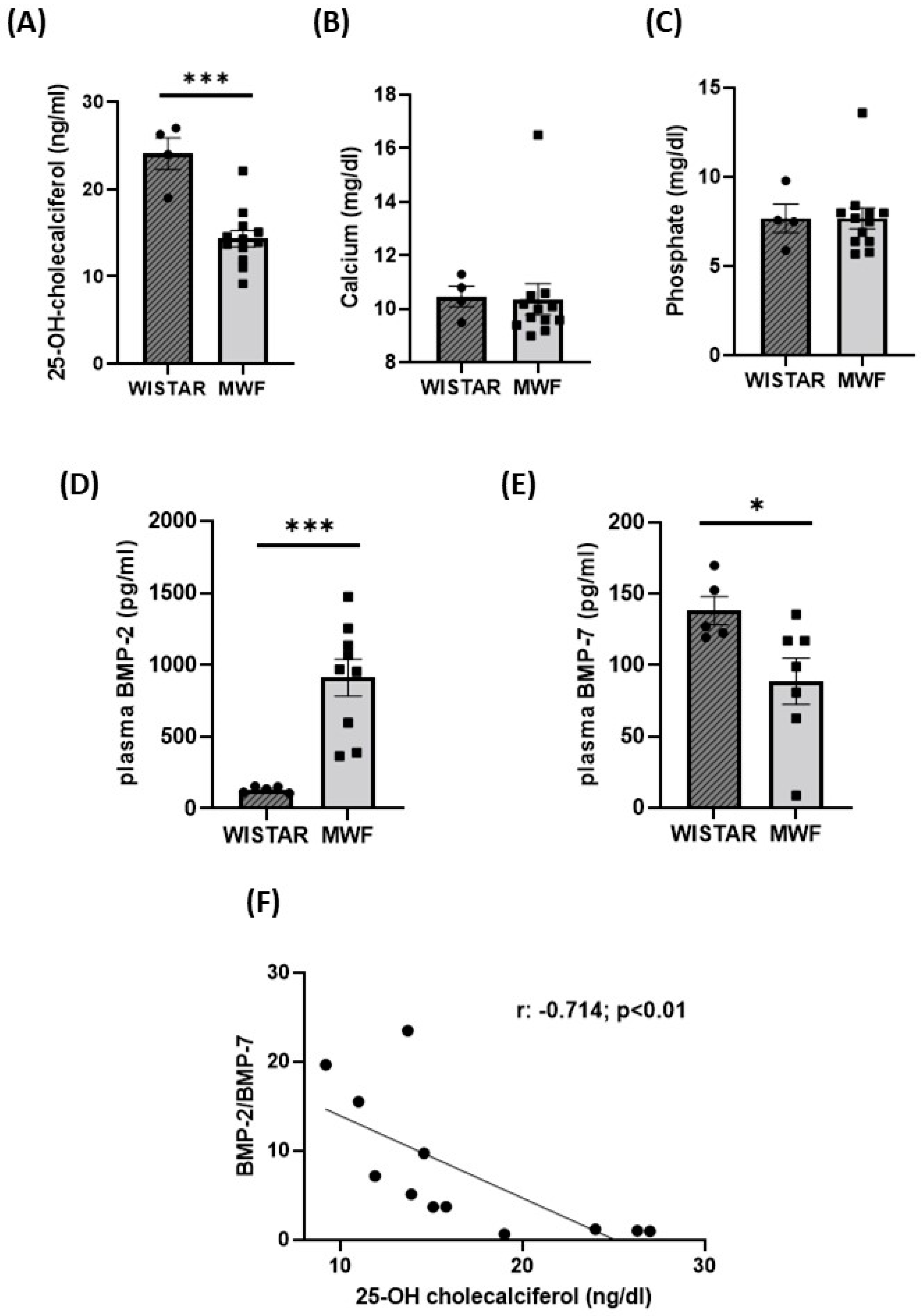 Ijms 24 00040 g002 Ijms 24 00040 g002