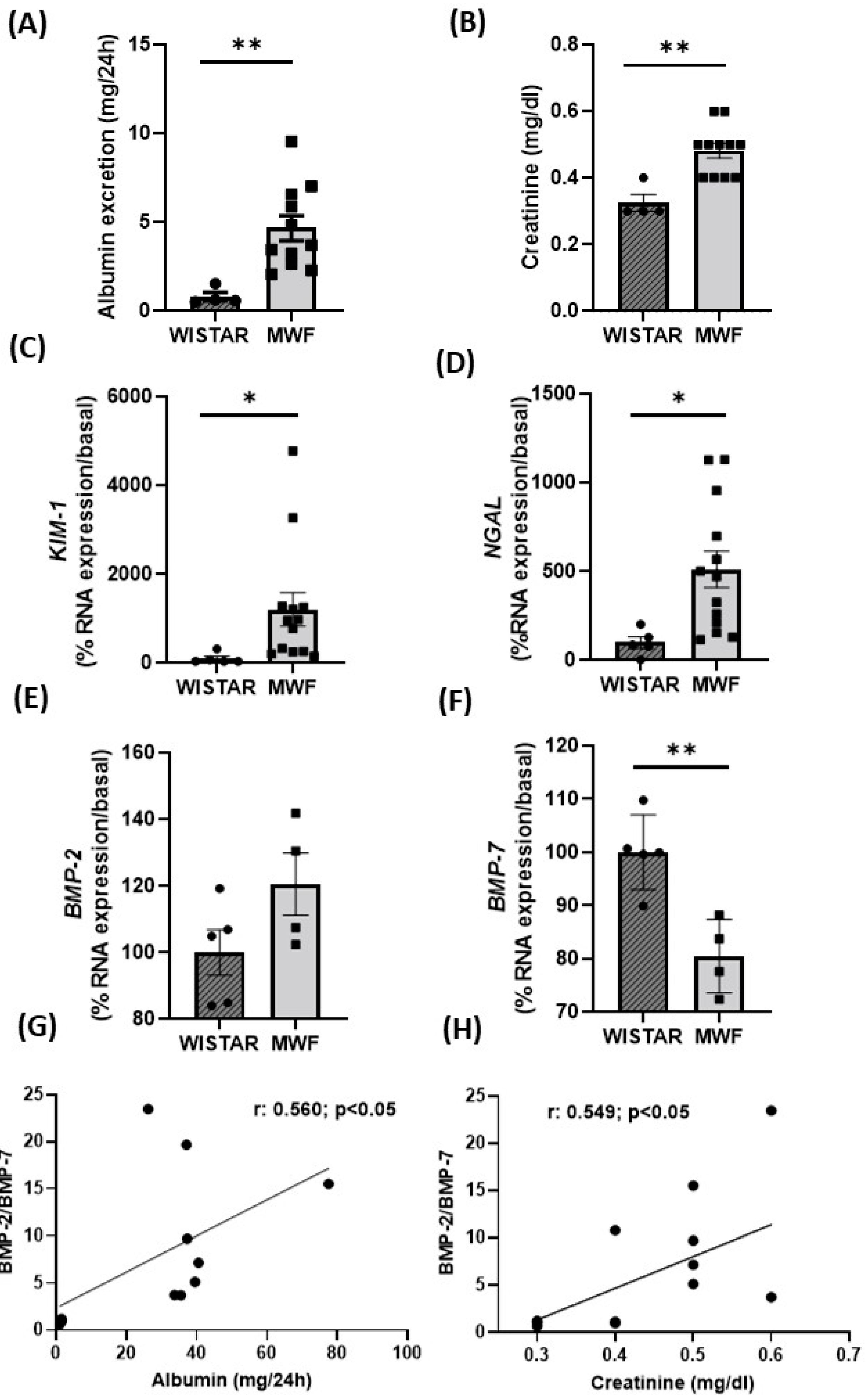 Ijms 24 00040 g003 Ijms 24 00040 g003