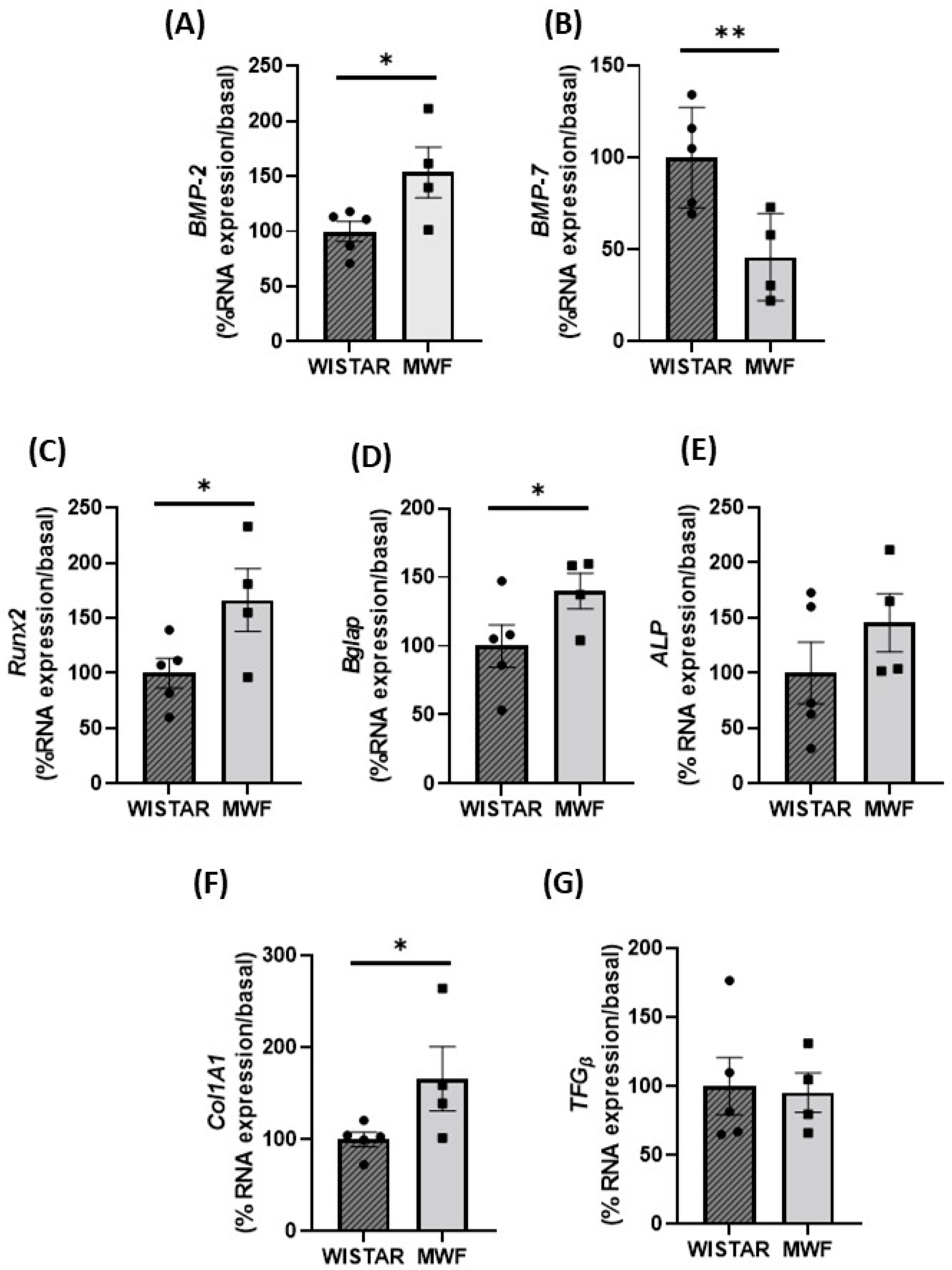 Ijms 24 00040 g006 Ijms 24 00040 g006