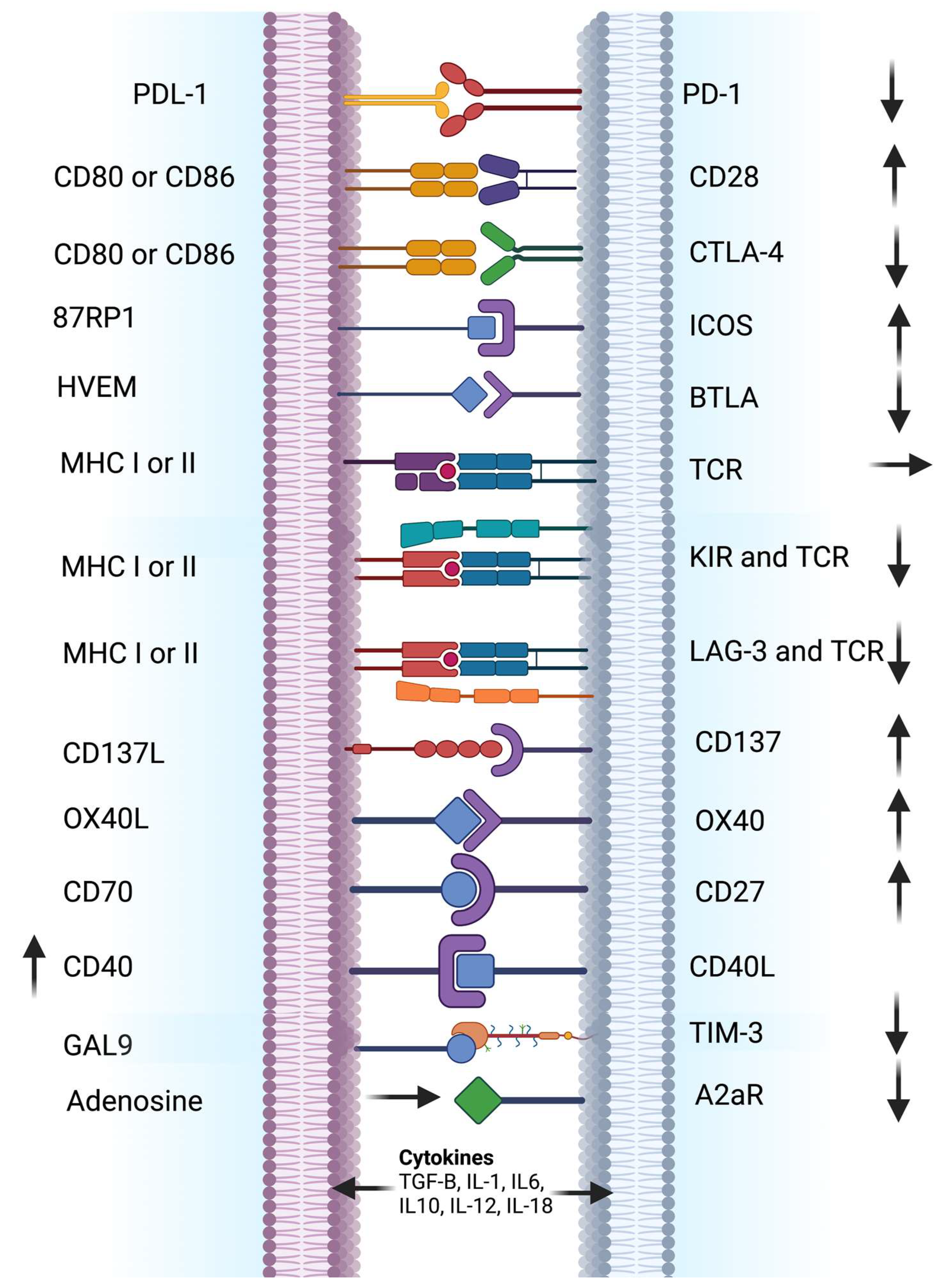 Ijms 24 00041 g001 Ijms 24 00041 g001