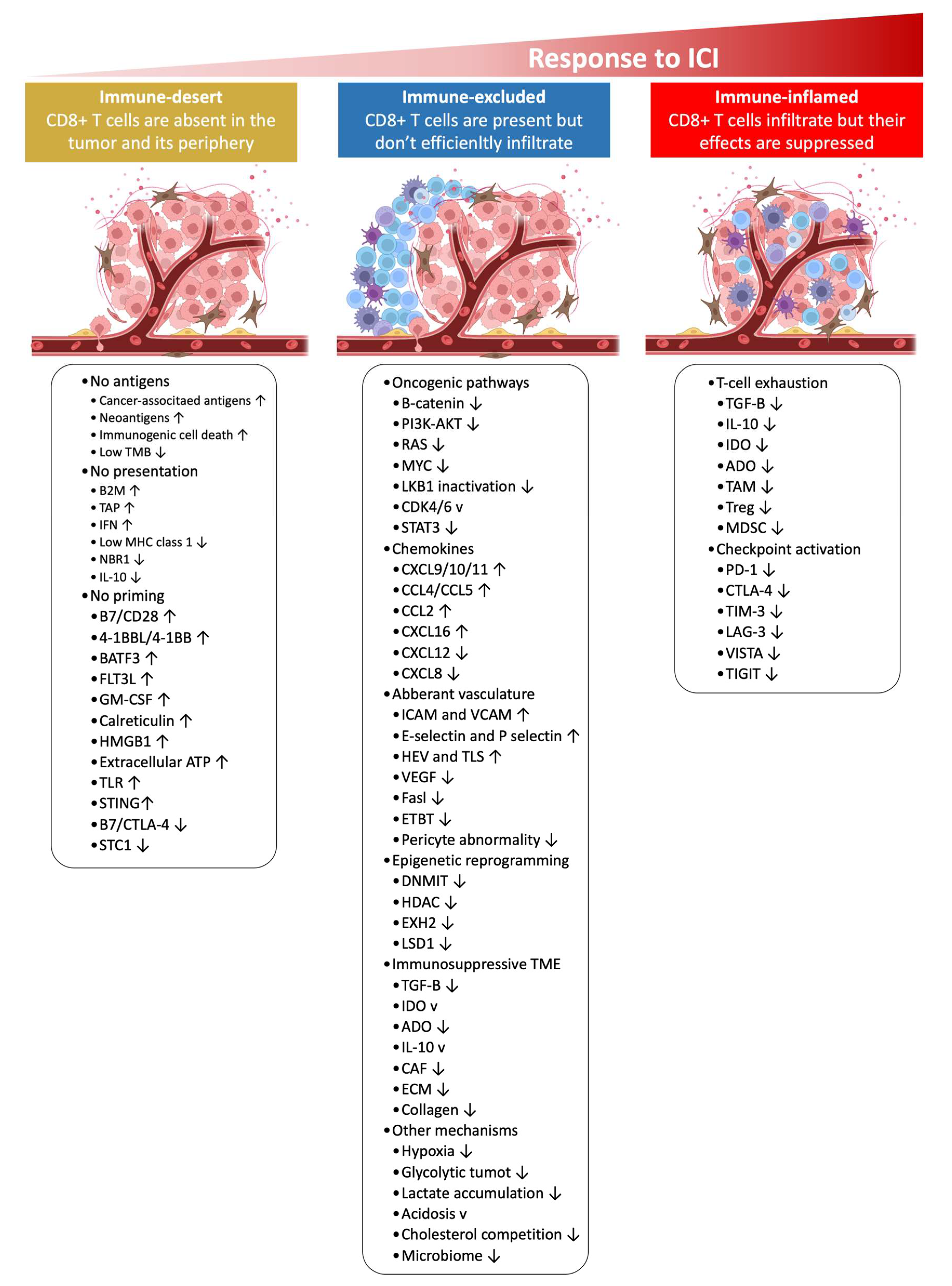 Ijms 24 00041 g002 Ijms 24 00041 g002