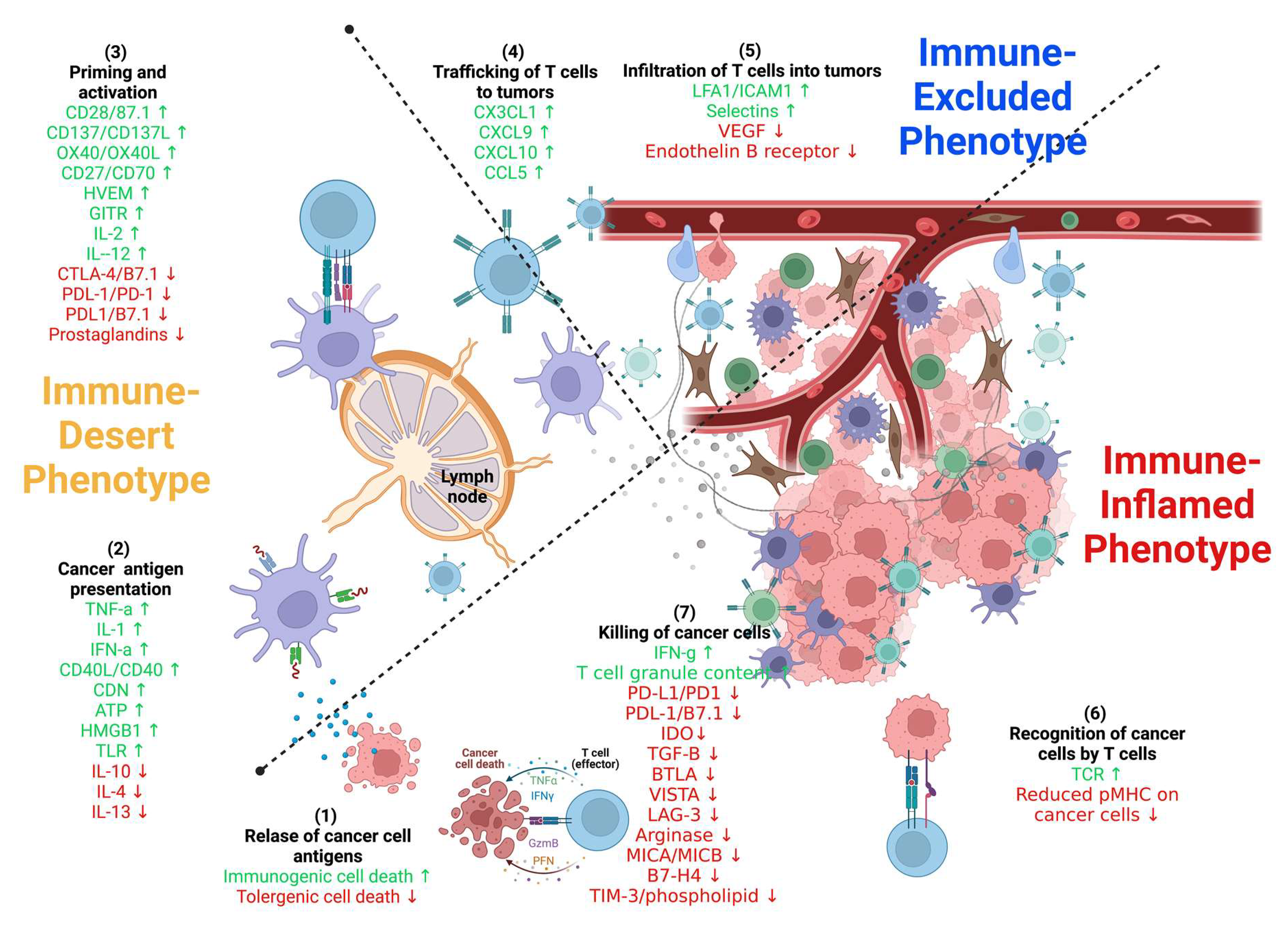 Ijms 24 00041 g003 Ijms 24 00041 g003