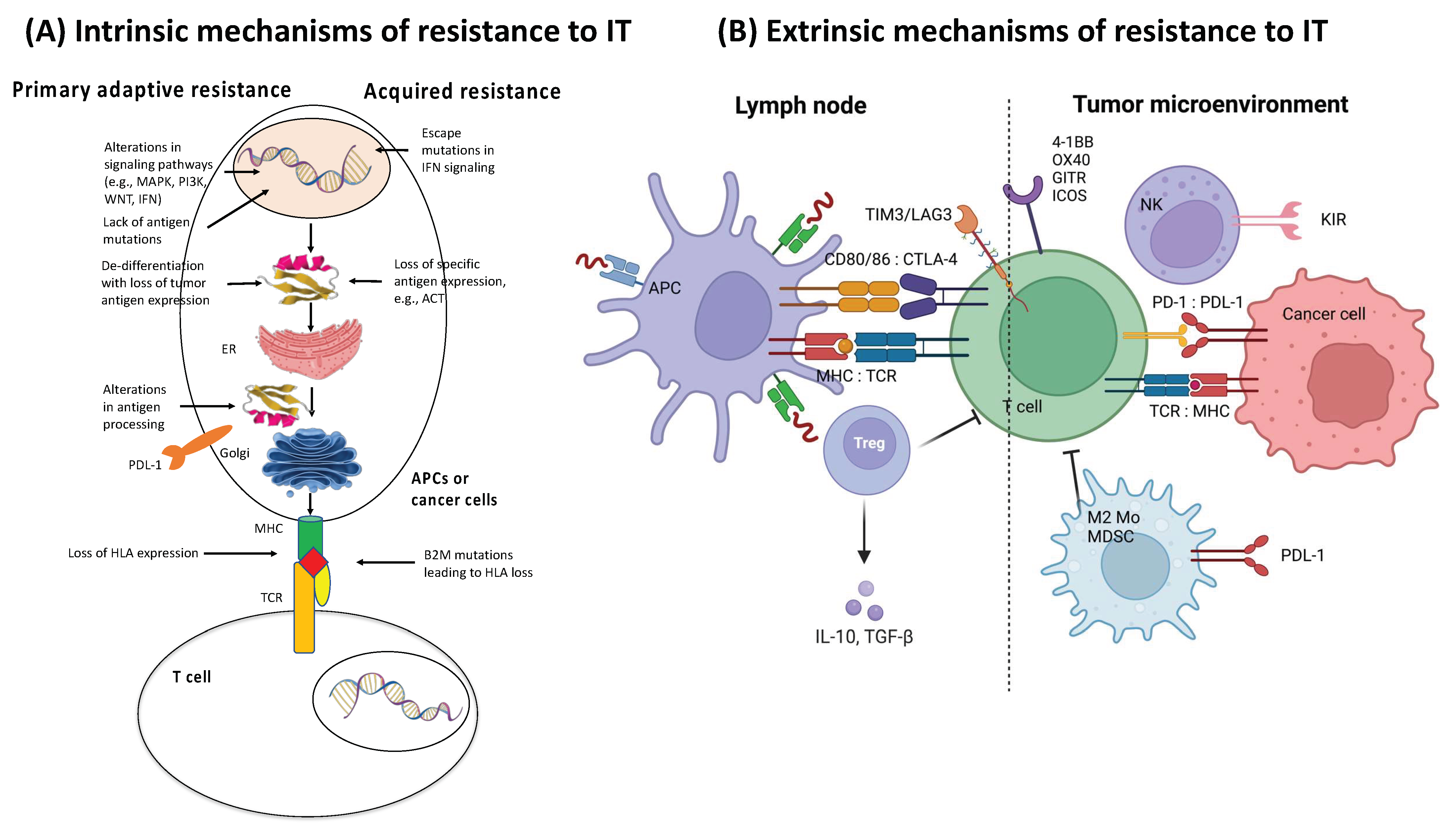 Ijms 24 00041 g004 Ijms 24 00041 g004