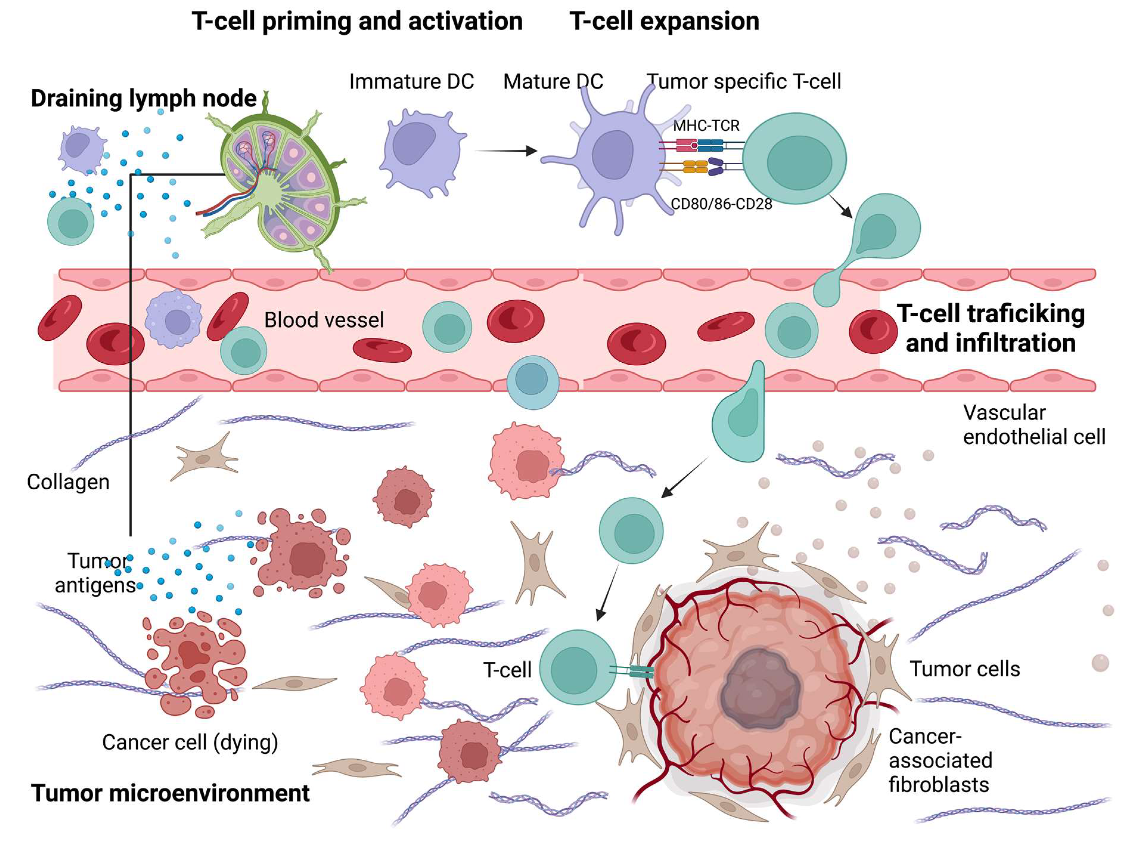 Ijms 24 00041 g006 Ijms 24 00041 g006
