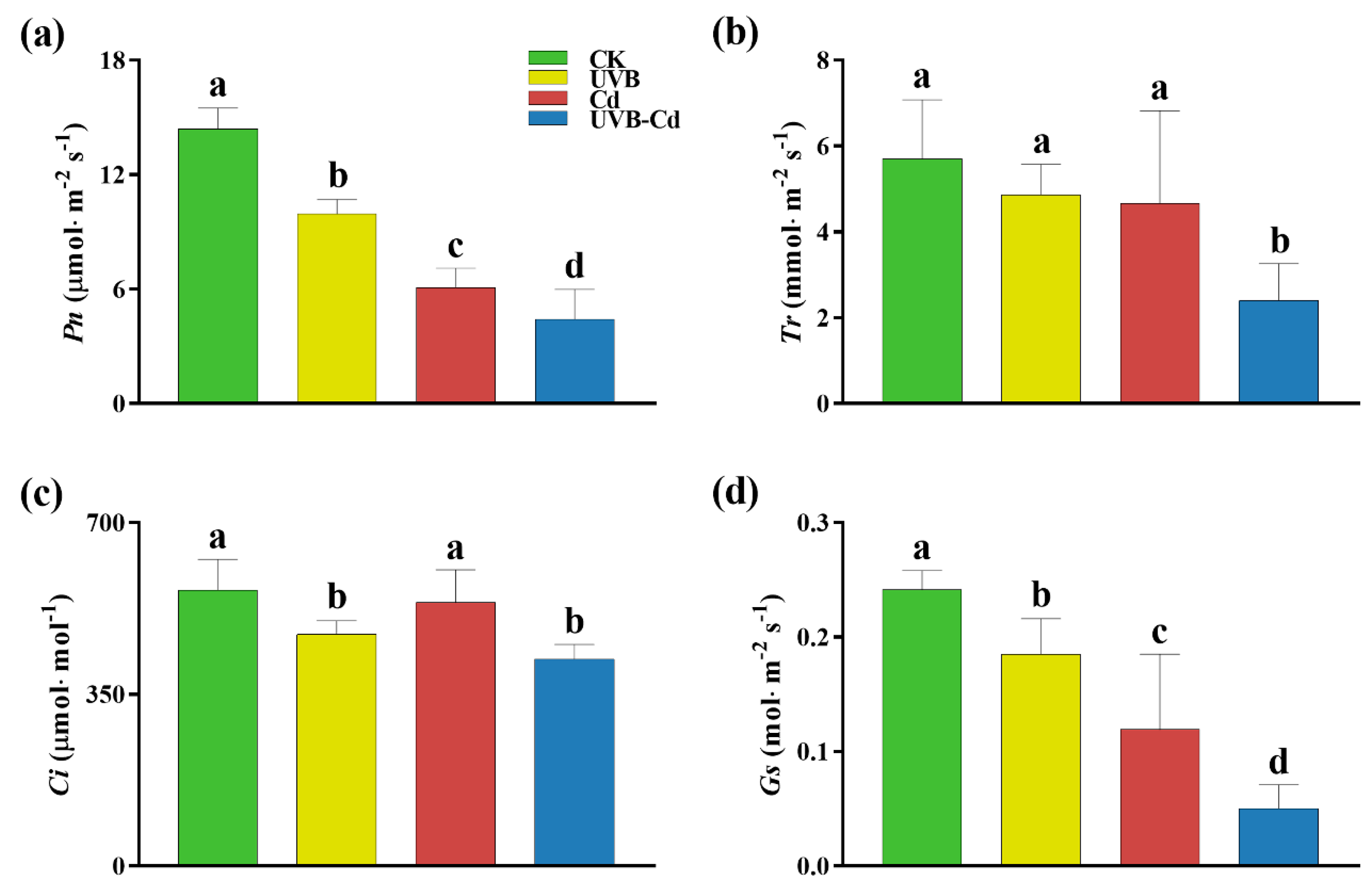 Ijms 24 00052 g002 Ijms 24 00052 g002