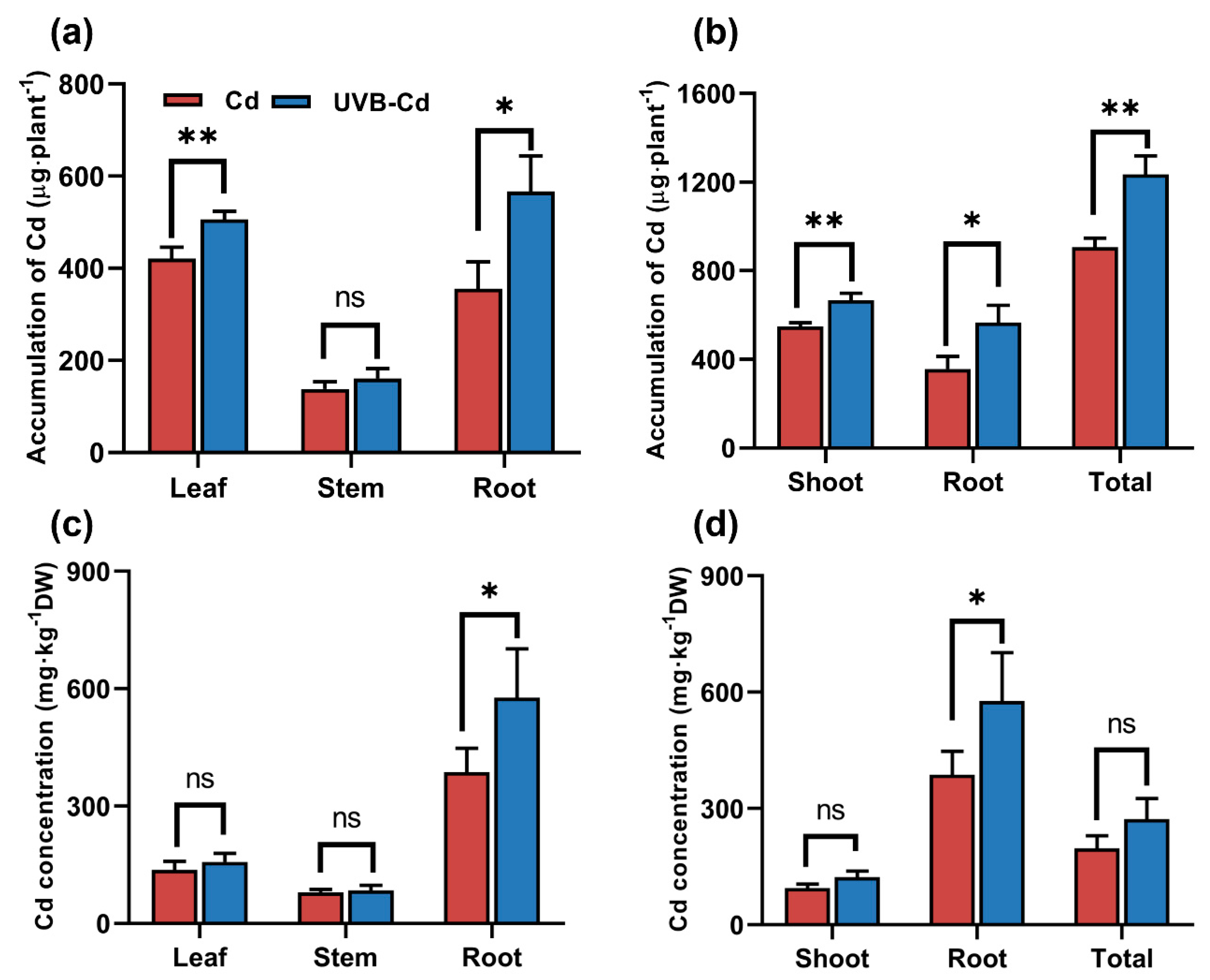 Ijms 24 00052 g005 Ijms 24 00052 g005