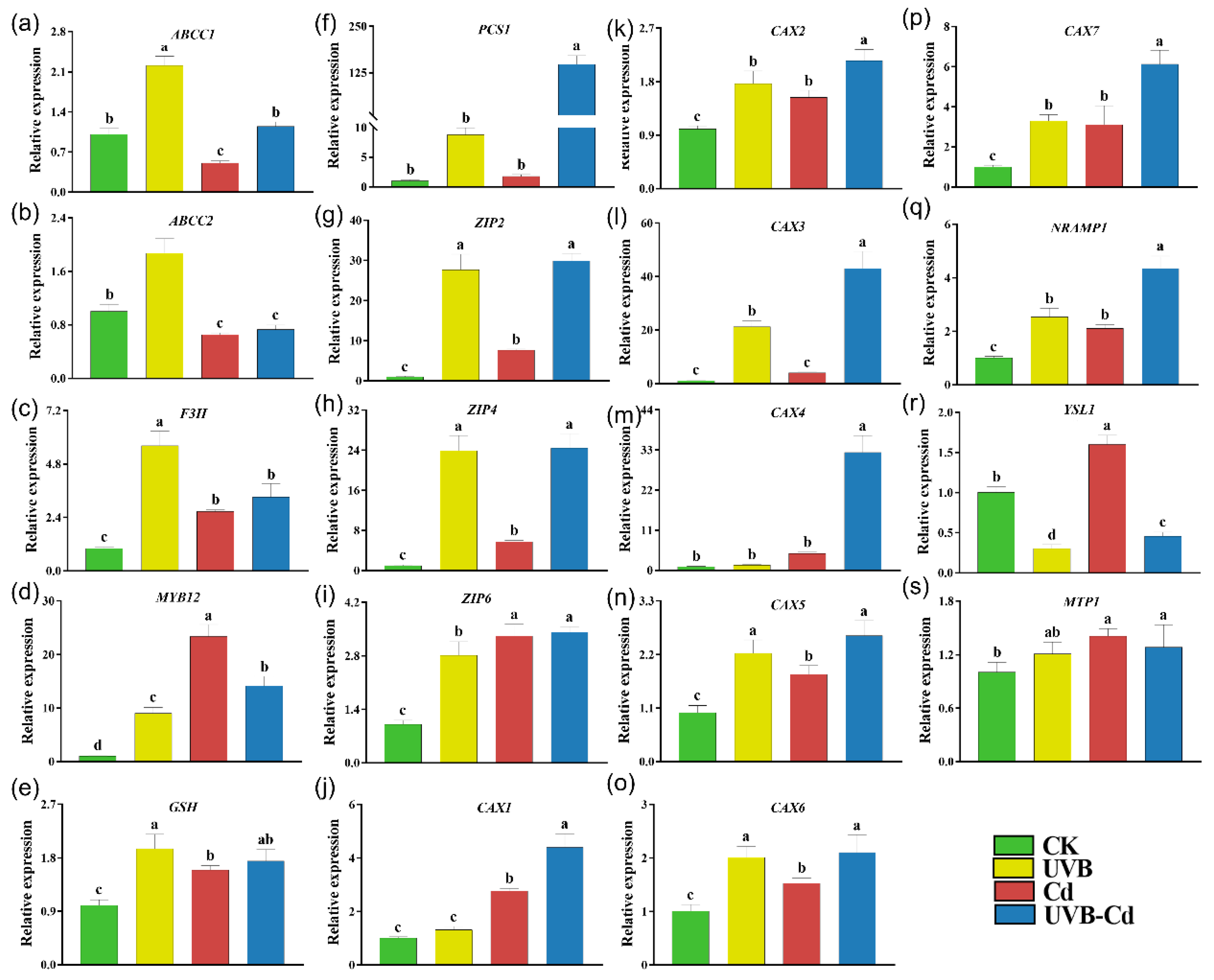 Ijms 24 00052 g007 Ijms 24 00052 g007