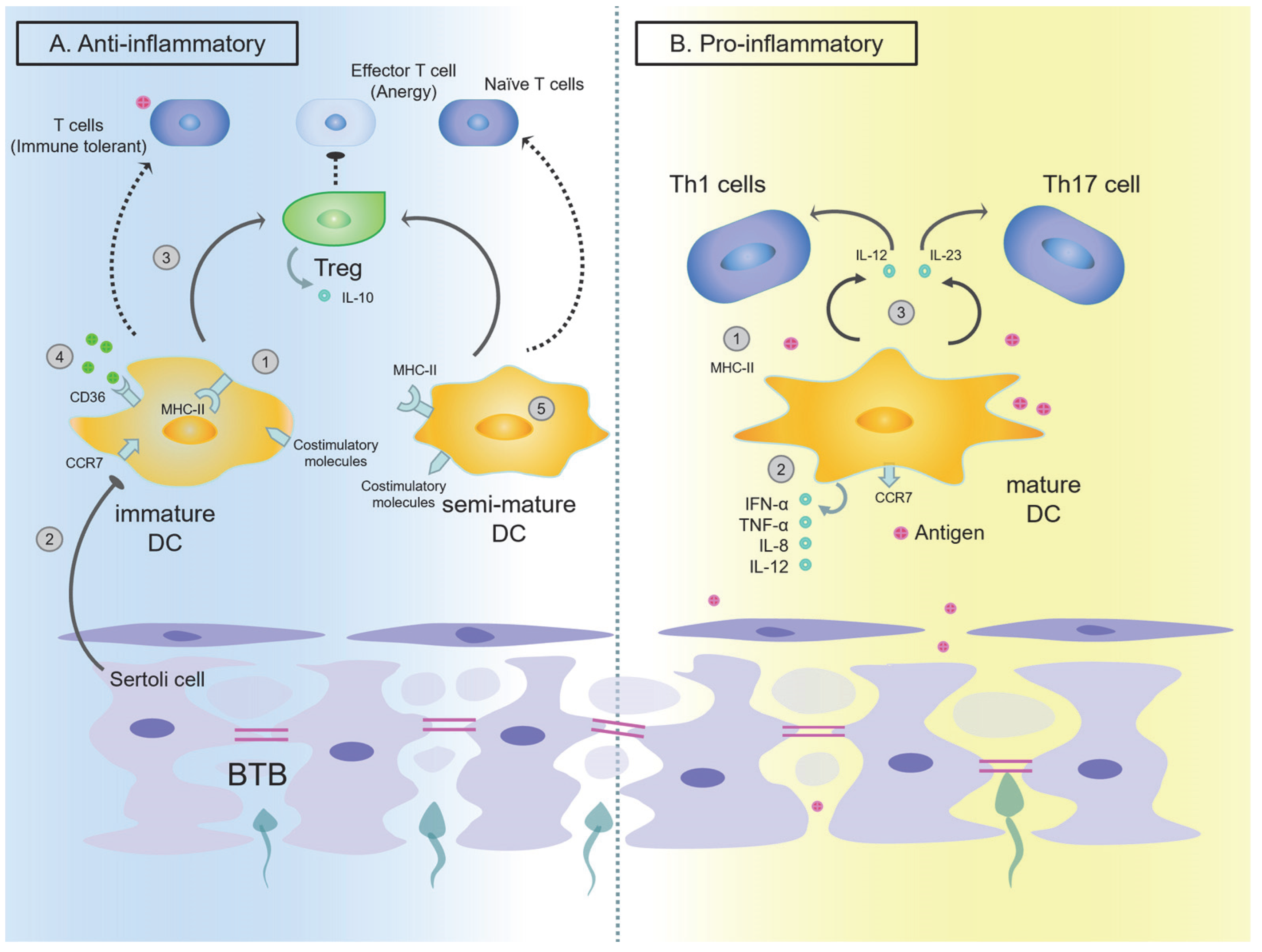 Ijms 24 00053 g002 Ijms 24 00053 g002