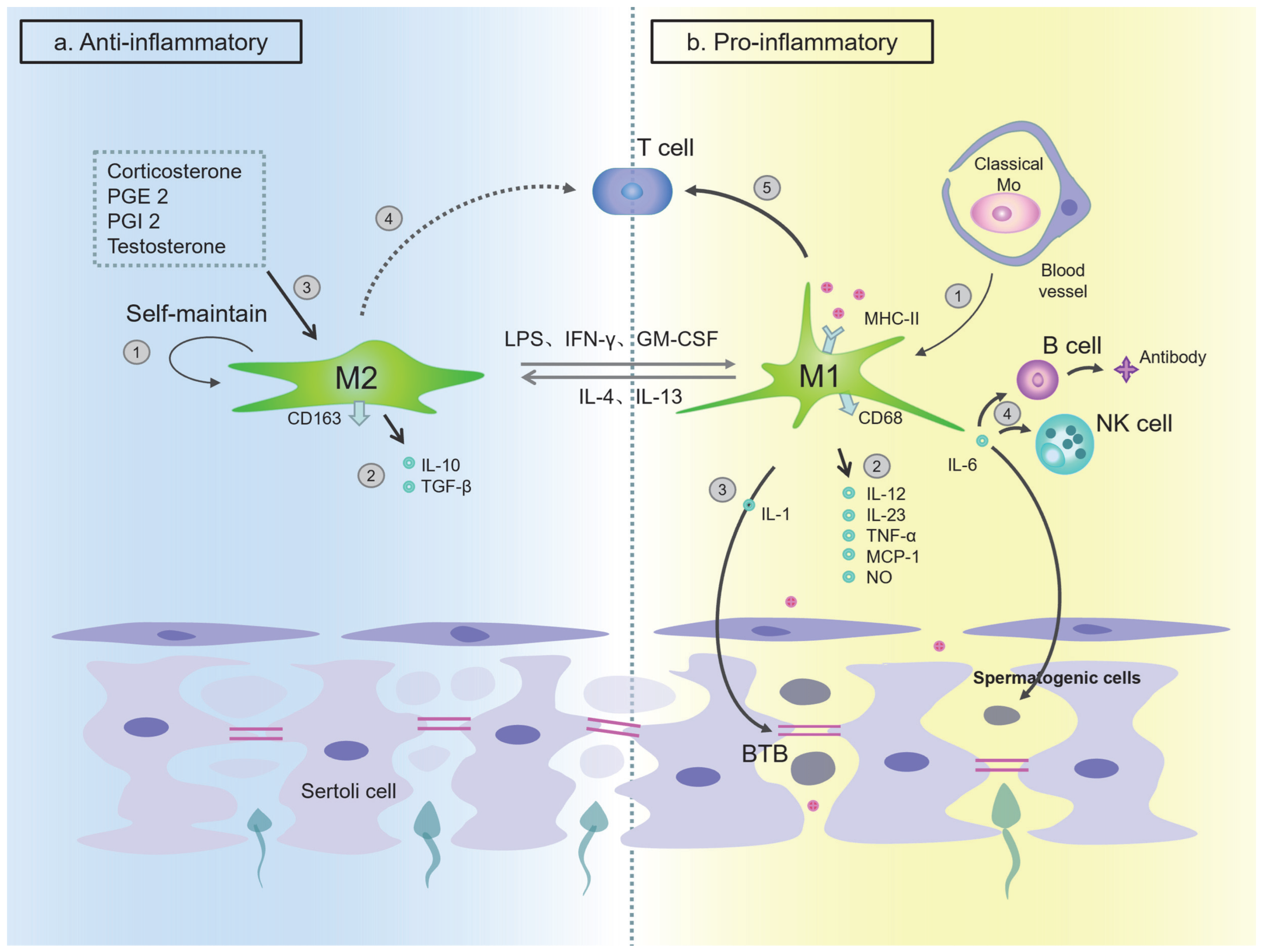 Ijms 24 00053 g003 Ijms 24 00053 g003