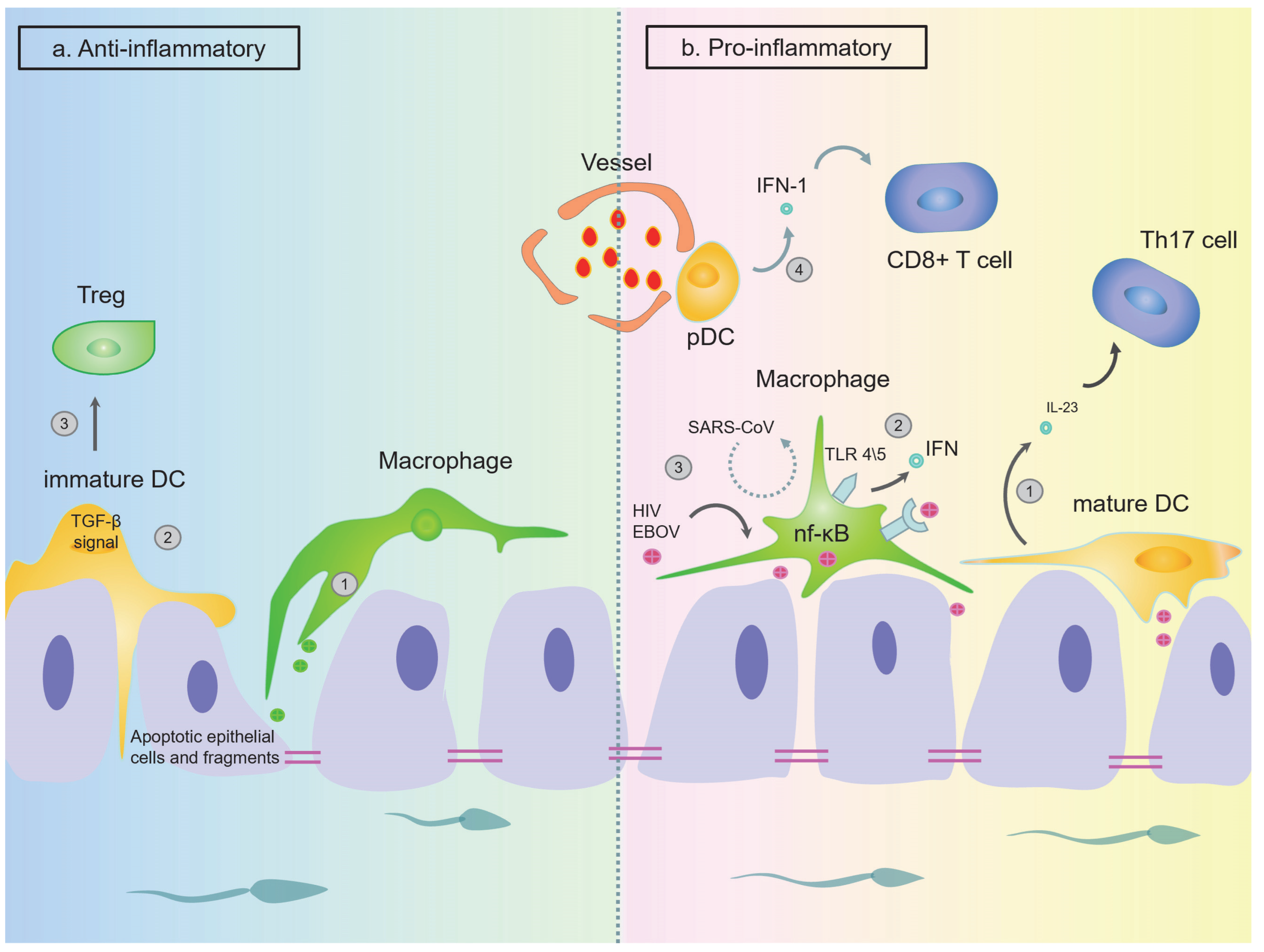 Ijms 24 00053 g005 Ijms 24 00053 g005