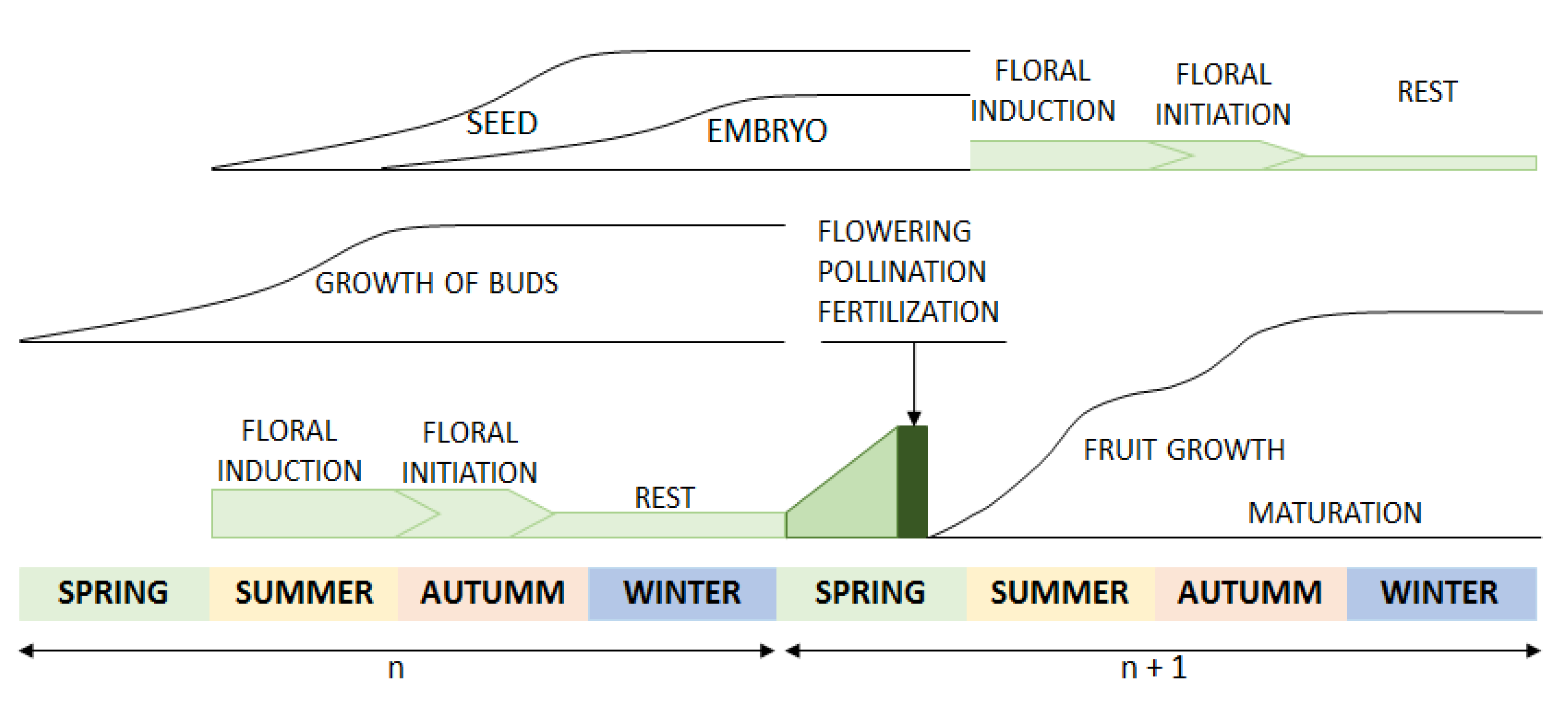 Ijms 24 00054 g003 Ijms 24 00054 g003