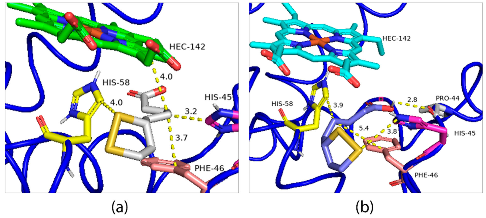 Ijms 24 00057 g010 Ijms 24 00057 g010
