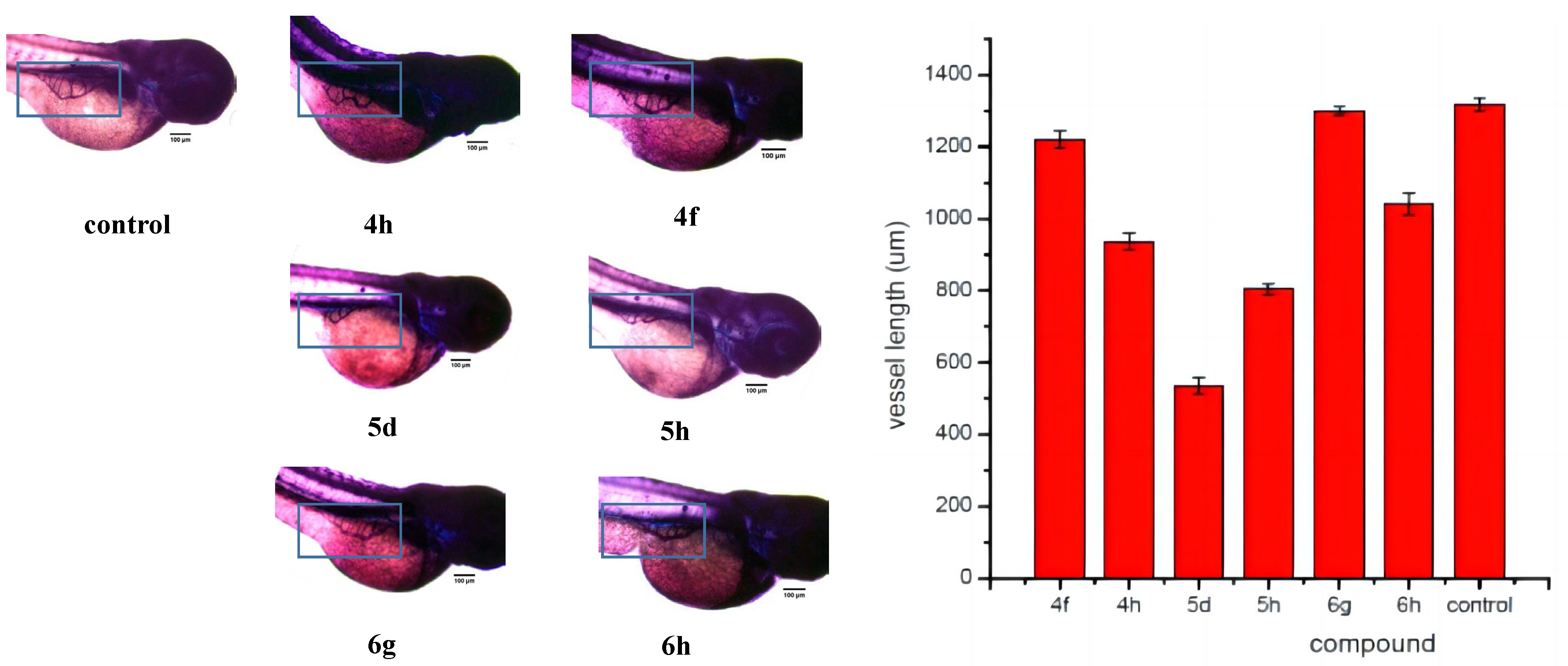 Ijms 24 00064 g012 Ijms 24 00064 g012