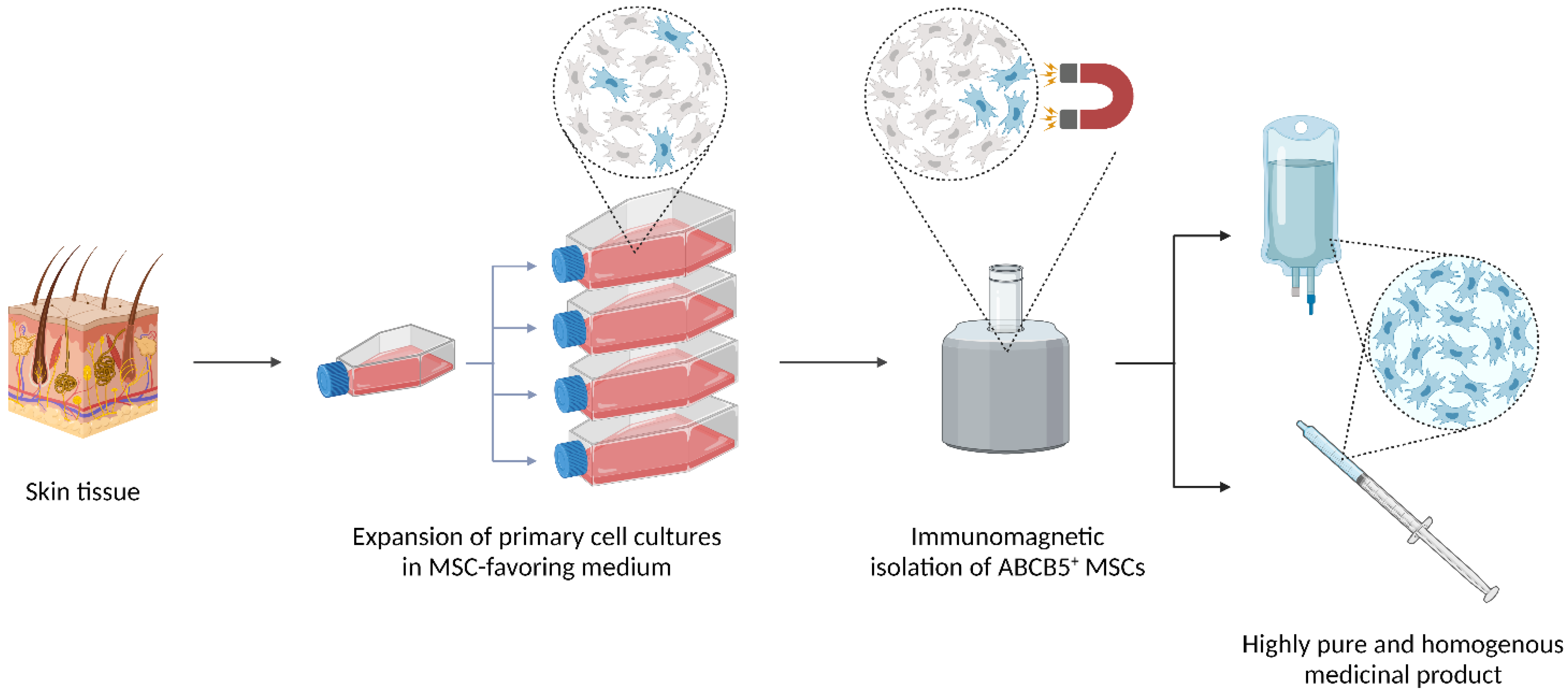 Ijms 24 00066 g001 Ijms 24 00066 g001