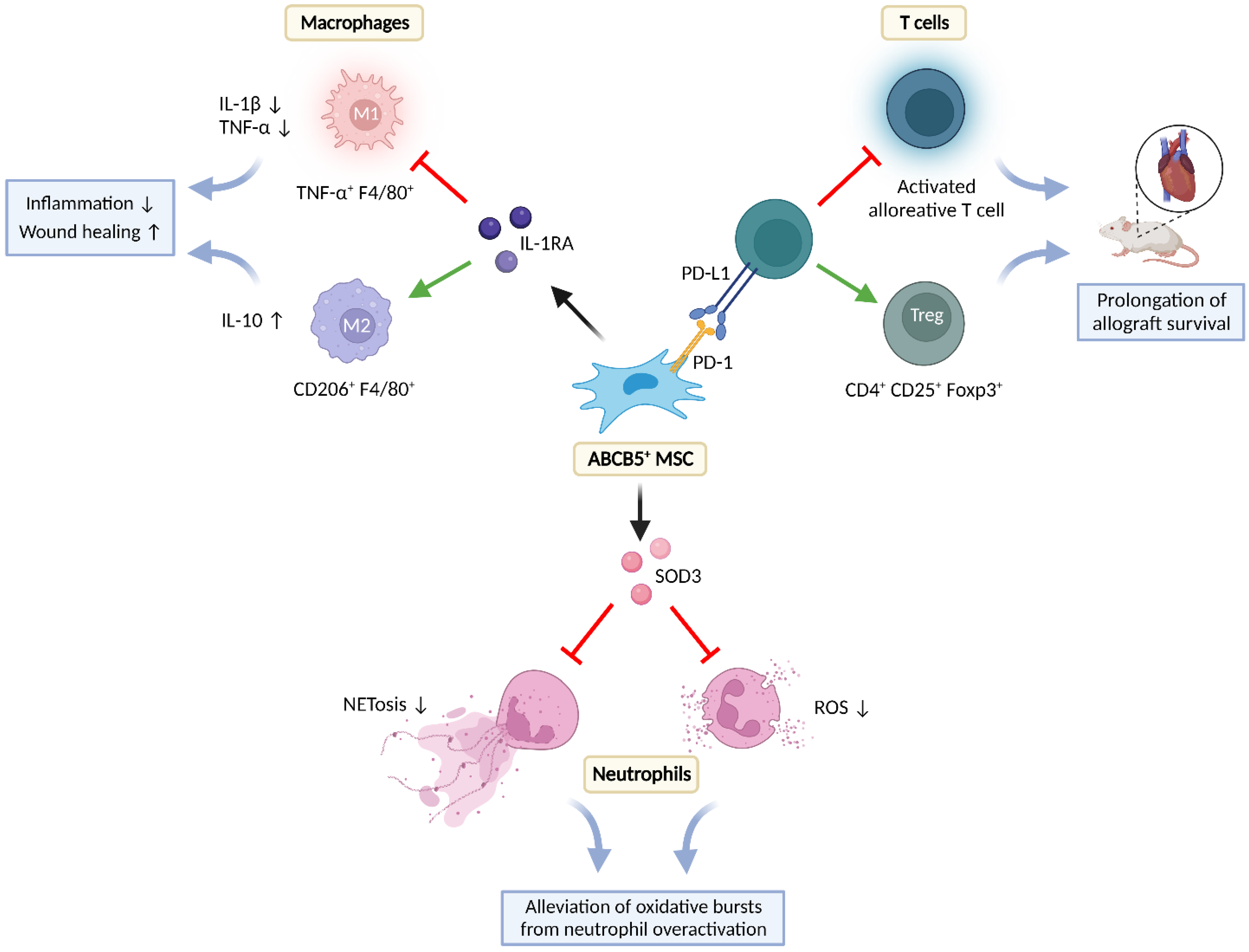 Ijms 24 00066 g003 Ijms 24 00066 g003