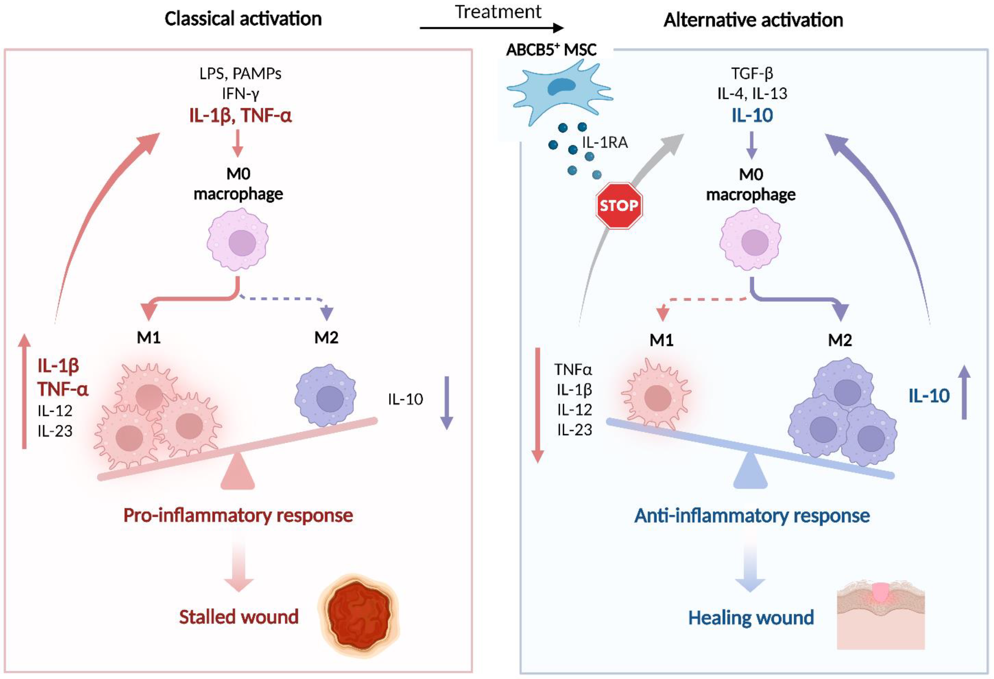 Ijms 24 00066 g004 Ijms 24 00066 g004