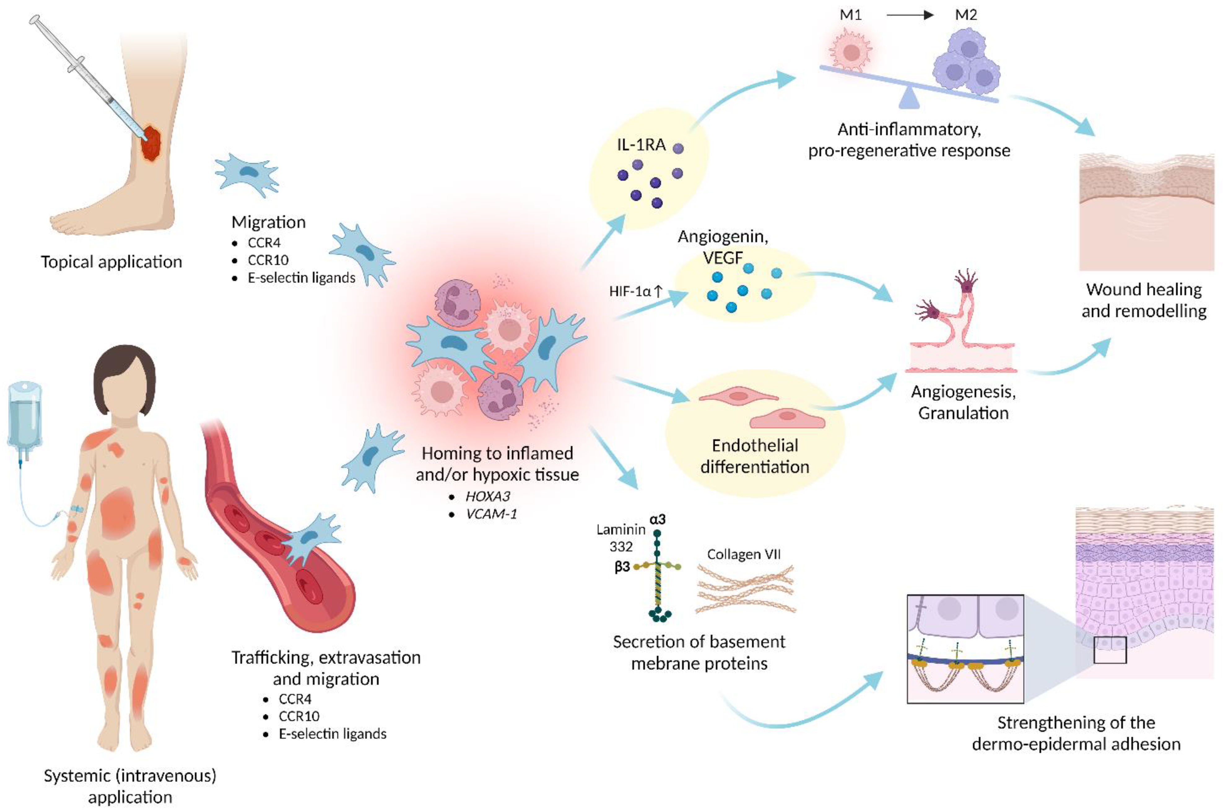 Ijms 24 00066 g005 Ijms 24 00066 g005