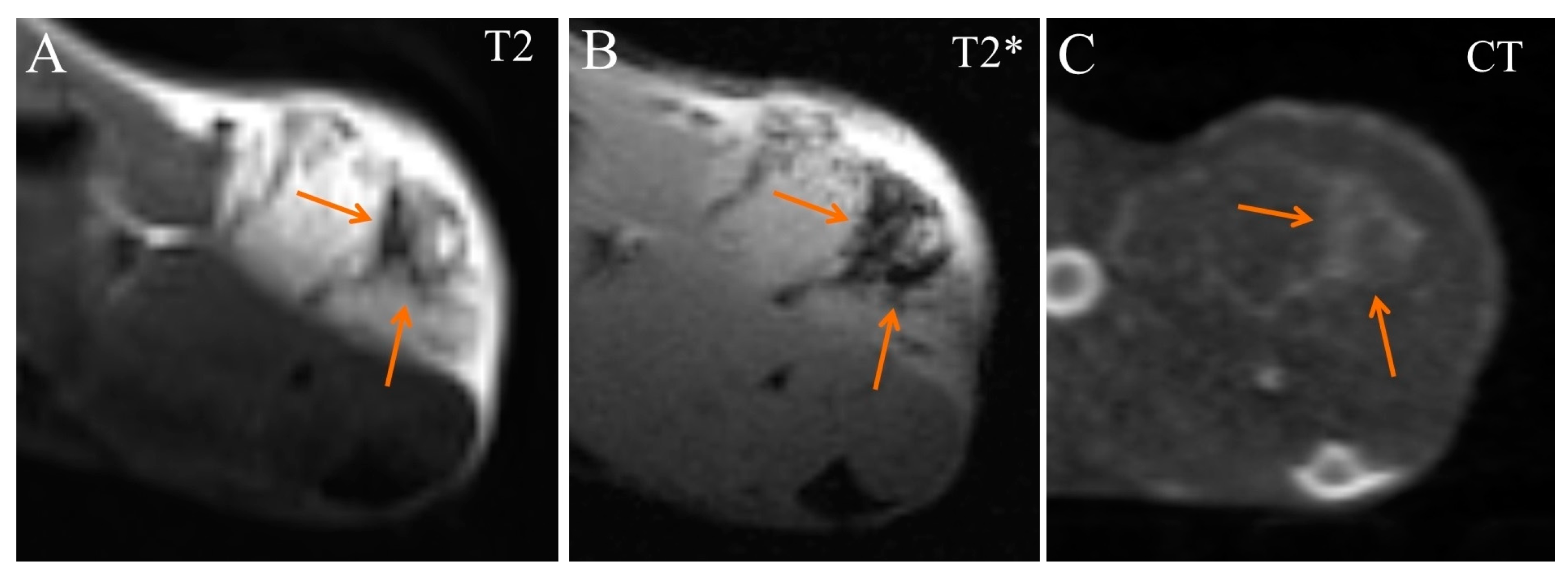 Ijms 24 00070 g008 Ijms 24 00070 g008