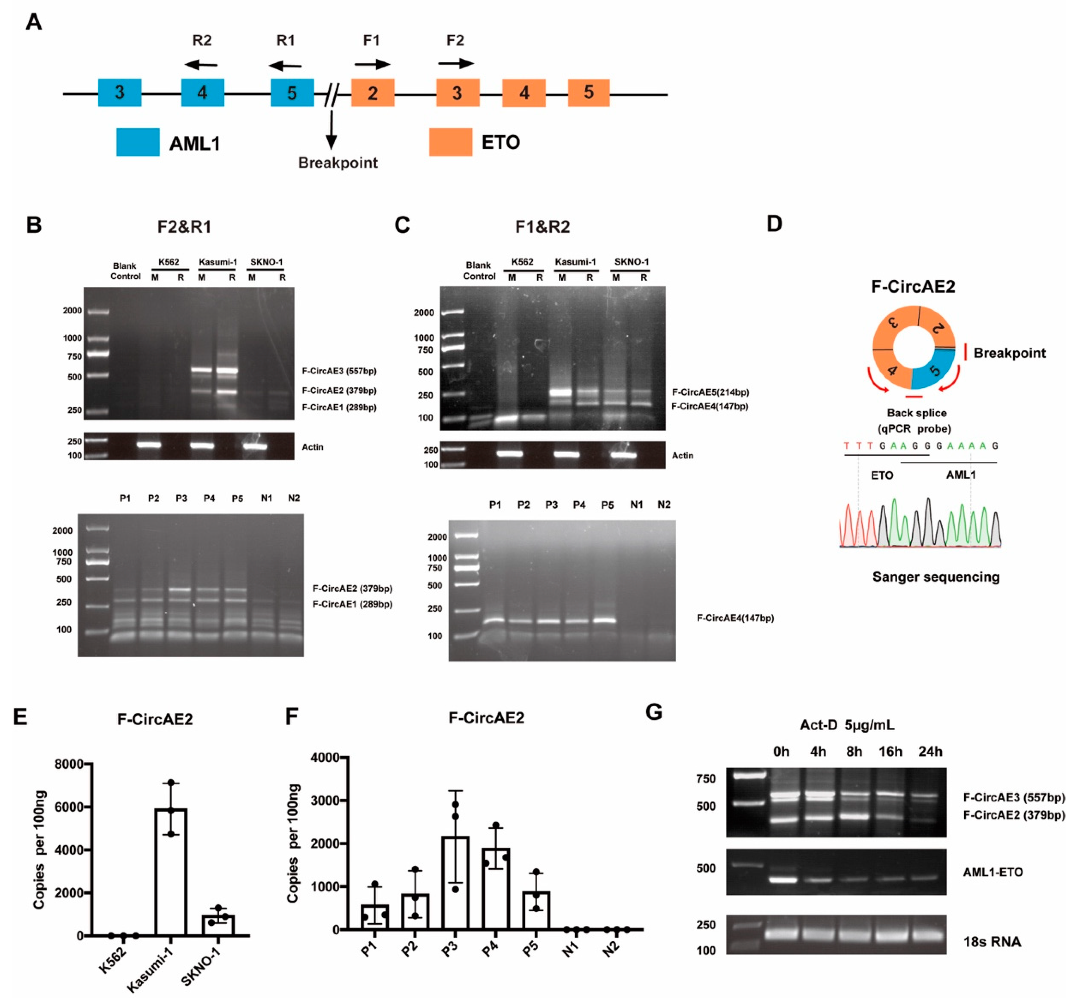 Ijms 24 00071 g001 Ijms 24 00071 g001