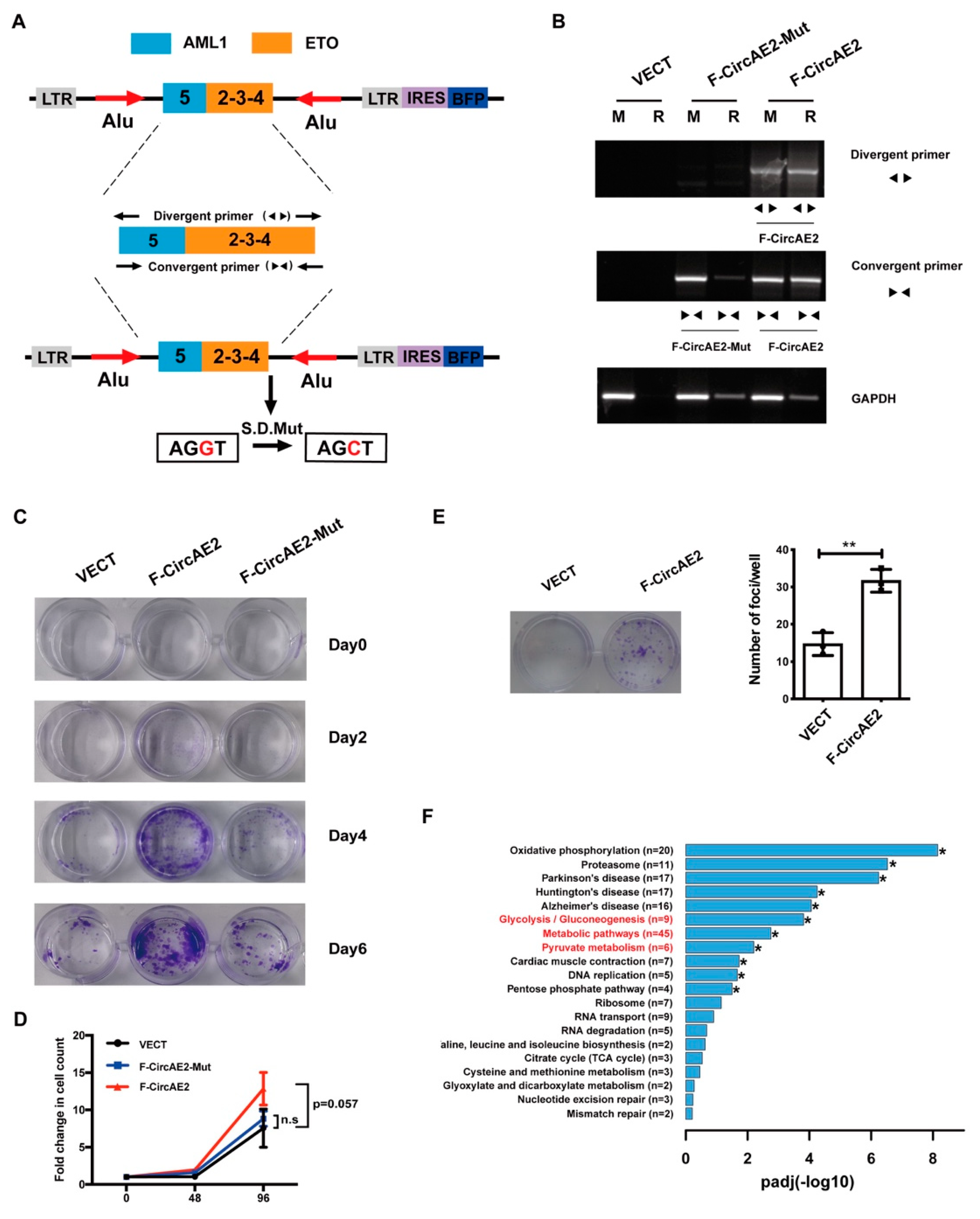Ijms 24 00071 g002 Ijms 24 00071 g002