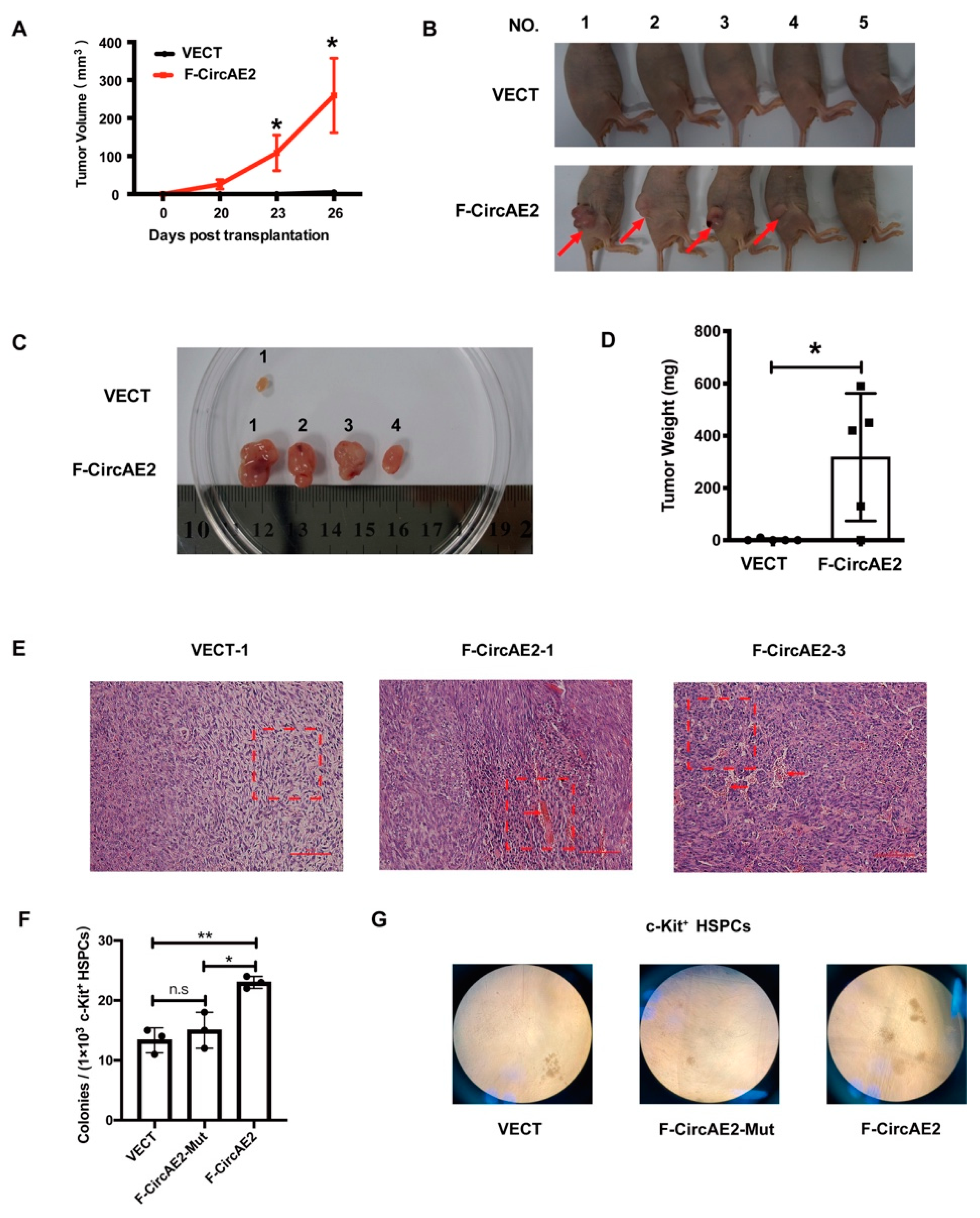 Ijms 24 00071 g003 Ijms 24 00071 g003