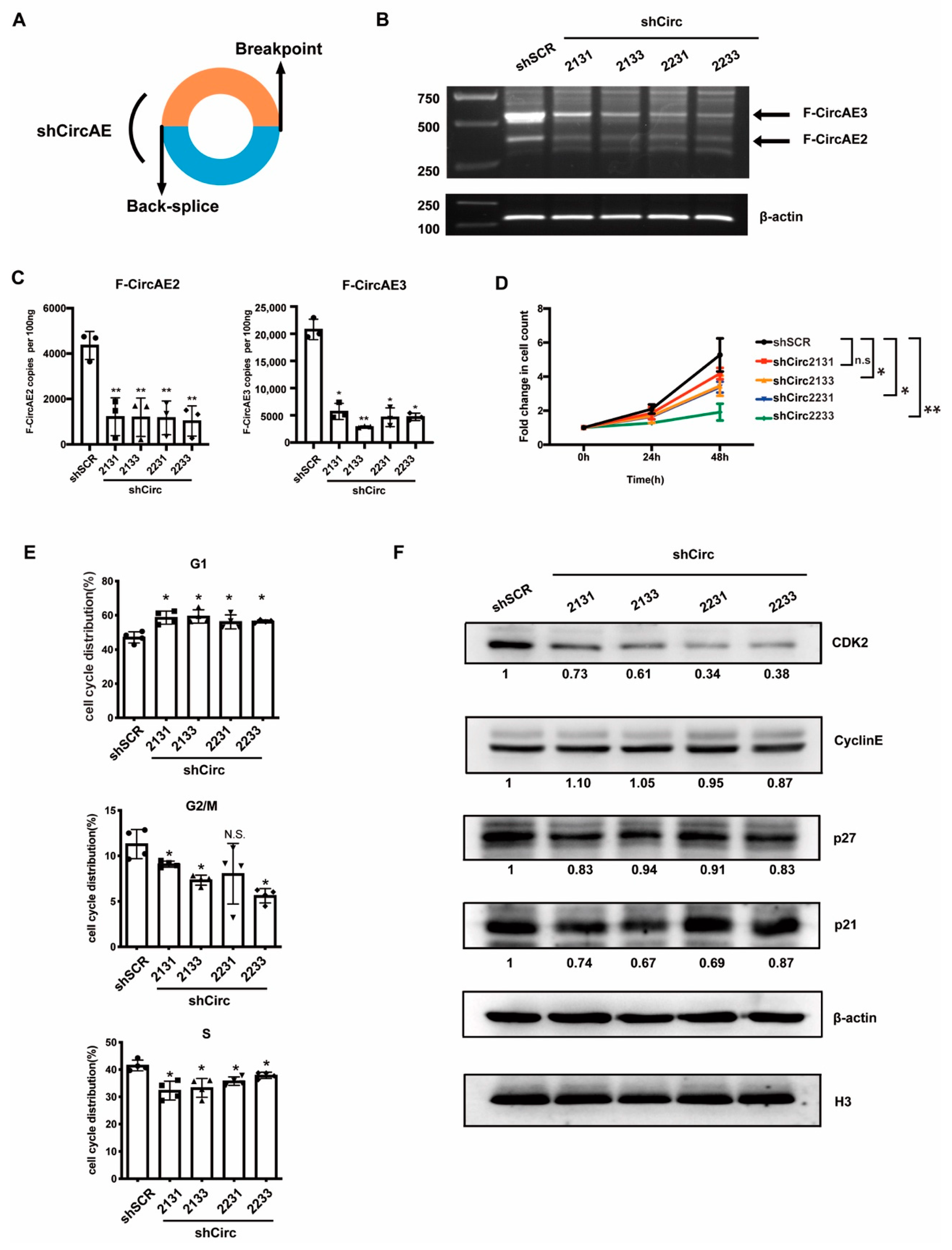 Ijms 24 00071 g004 Ijms 24 00071 g004