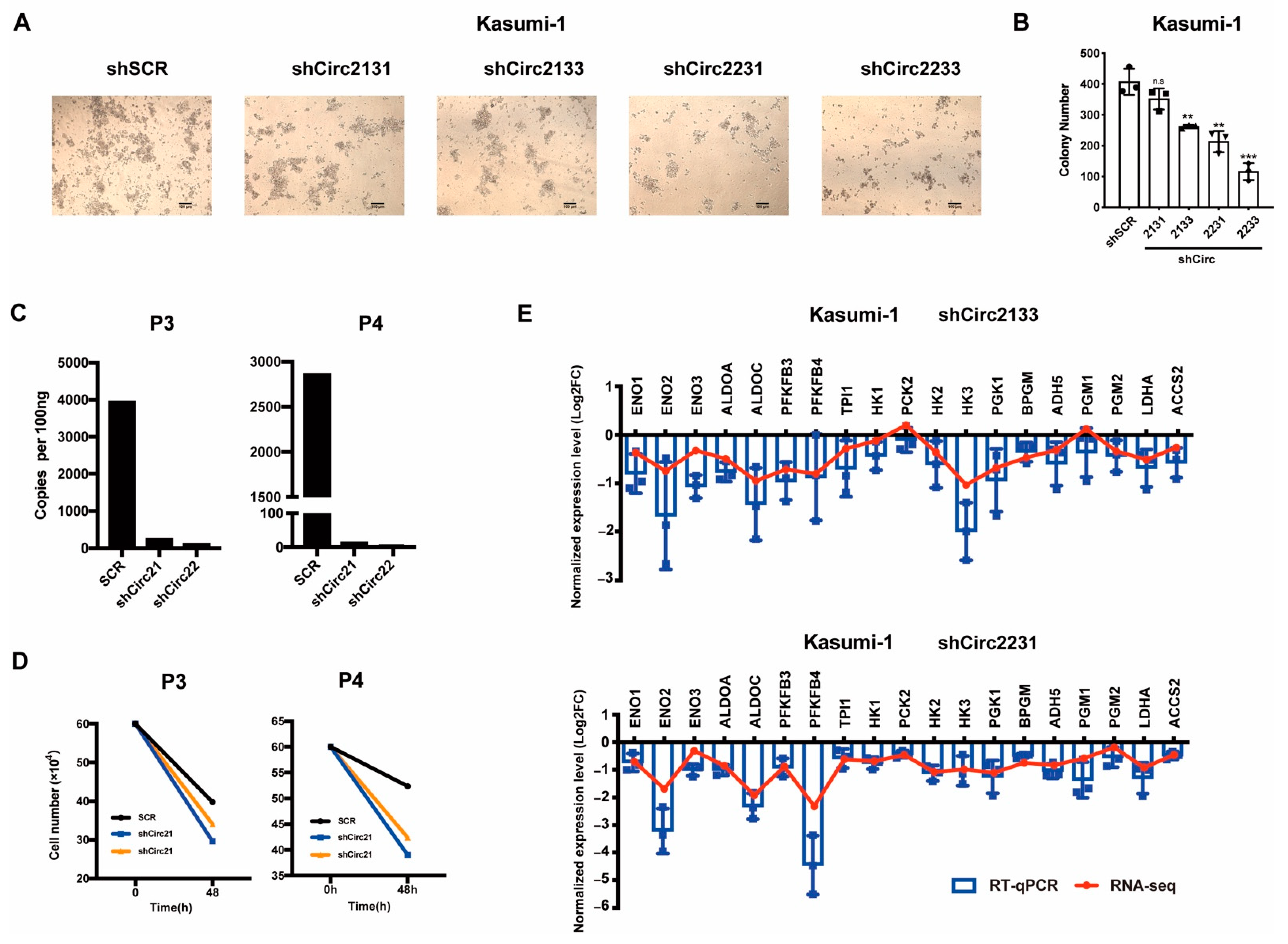 Ijms 24 00071 g005 Ijms 24 00071 g005
