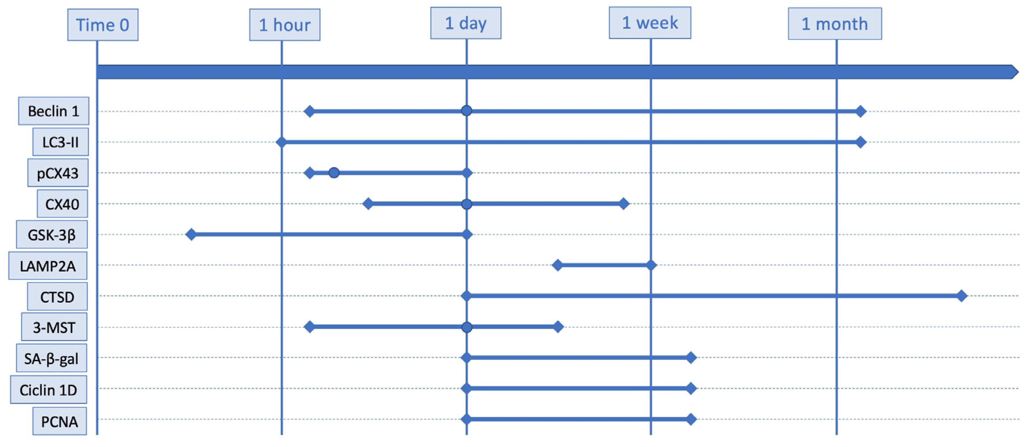 Ijms 24 00072 g001 Ijms 24 00072 g001