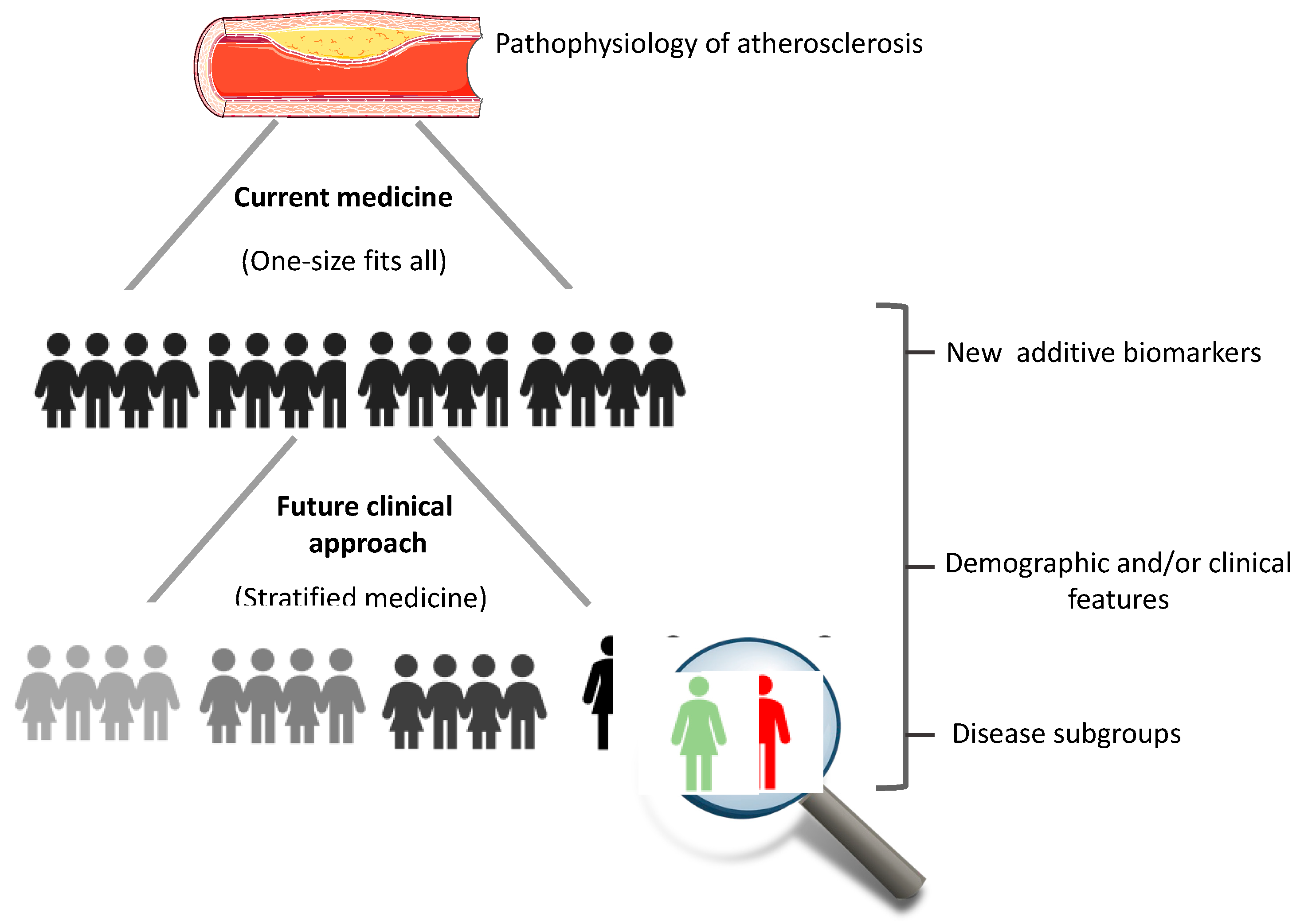 Ijms 24 00075 g002 Ijms 24 00075 g002