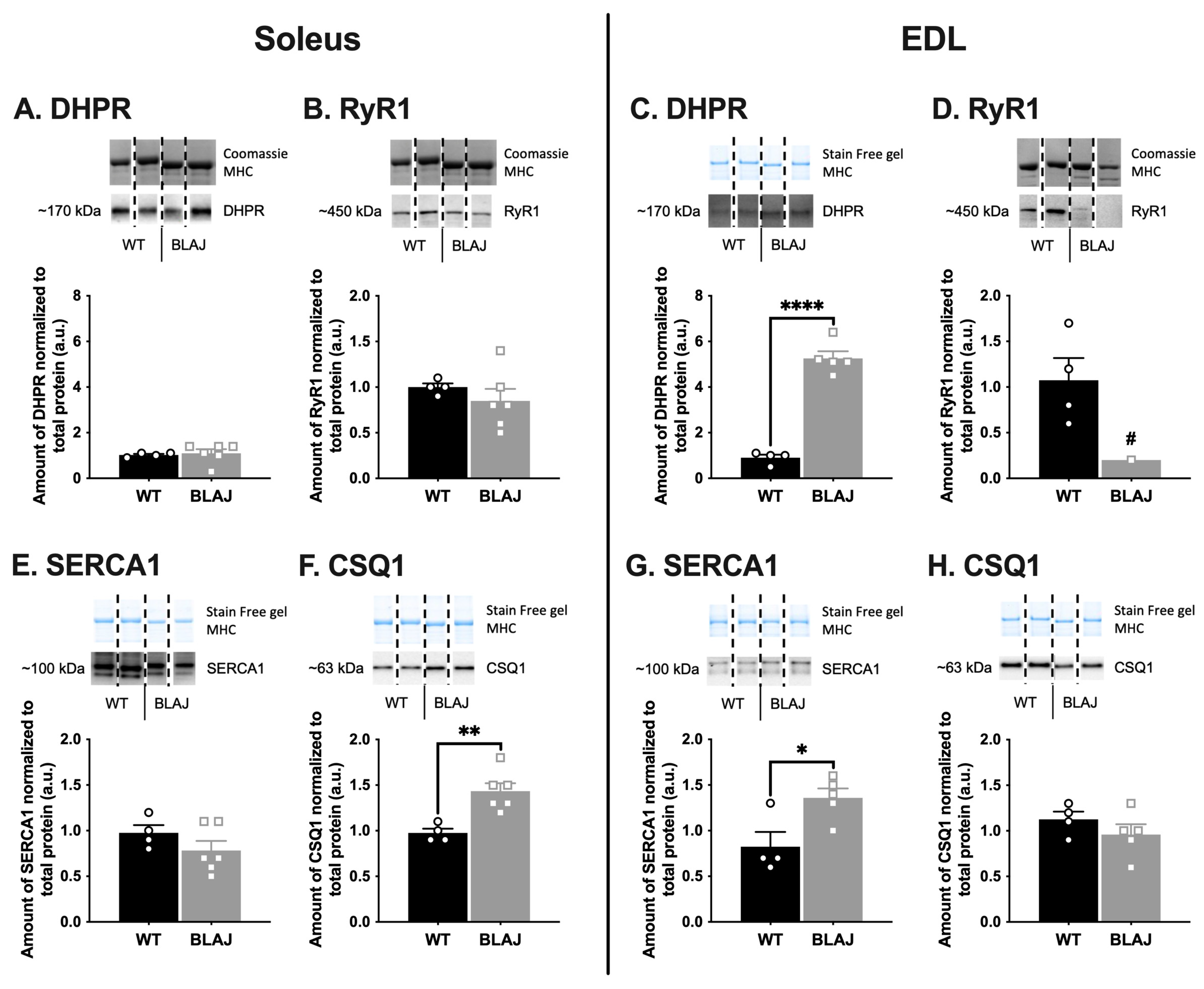 Ijms 24 00076 g001 Ijms 24 00076 g001