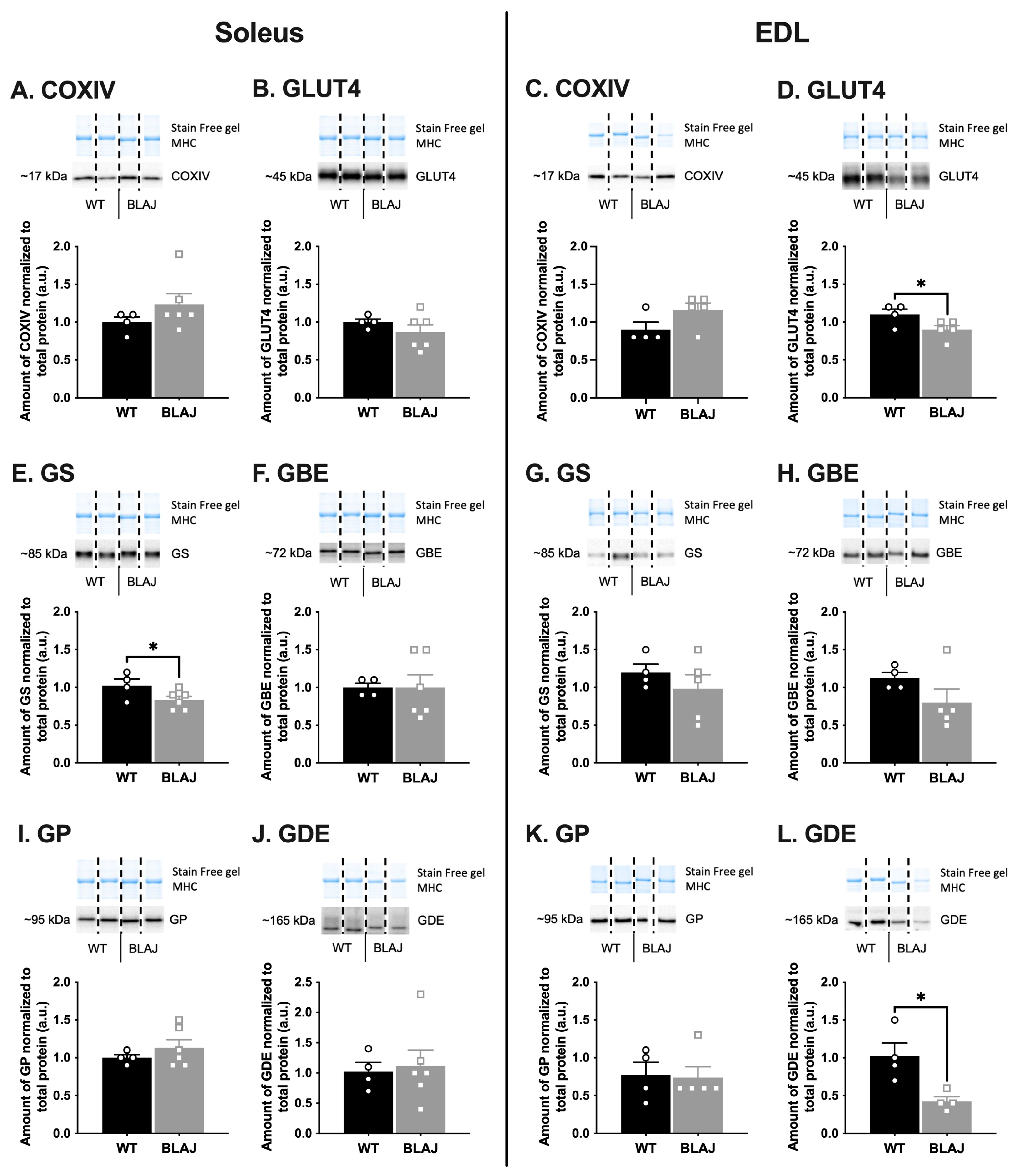 Ijms 24 00076 g002 Ijms 24 00076 g002